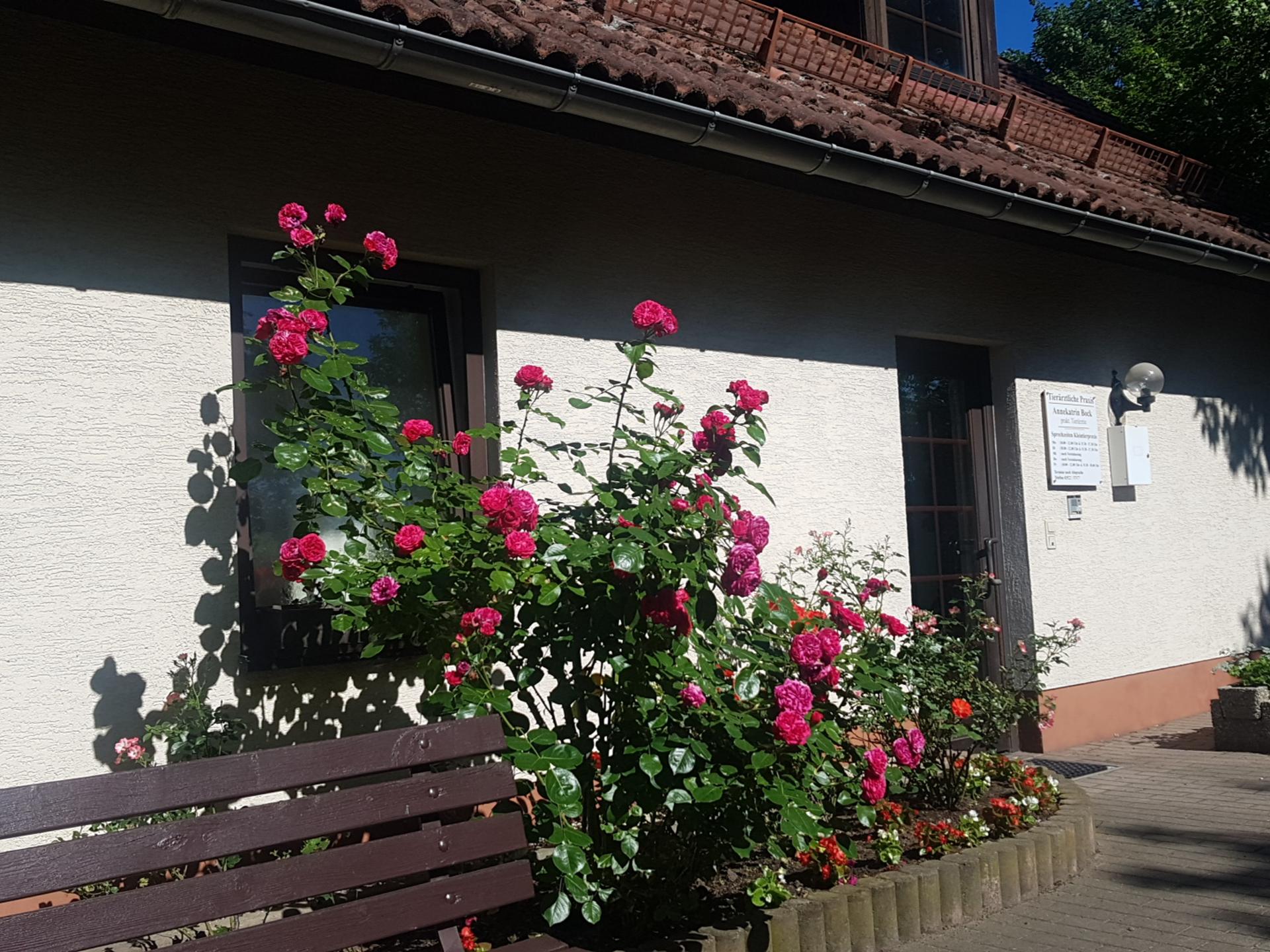 Ansicht 1 von Bock Annekatrin