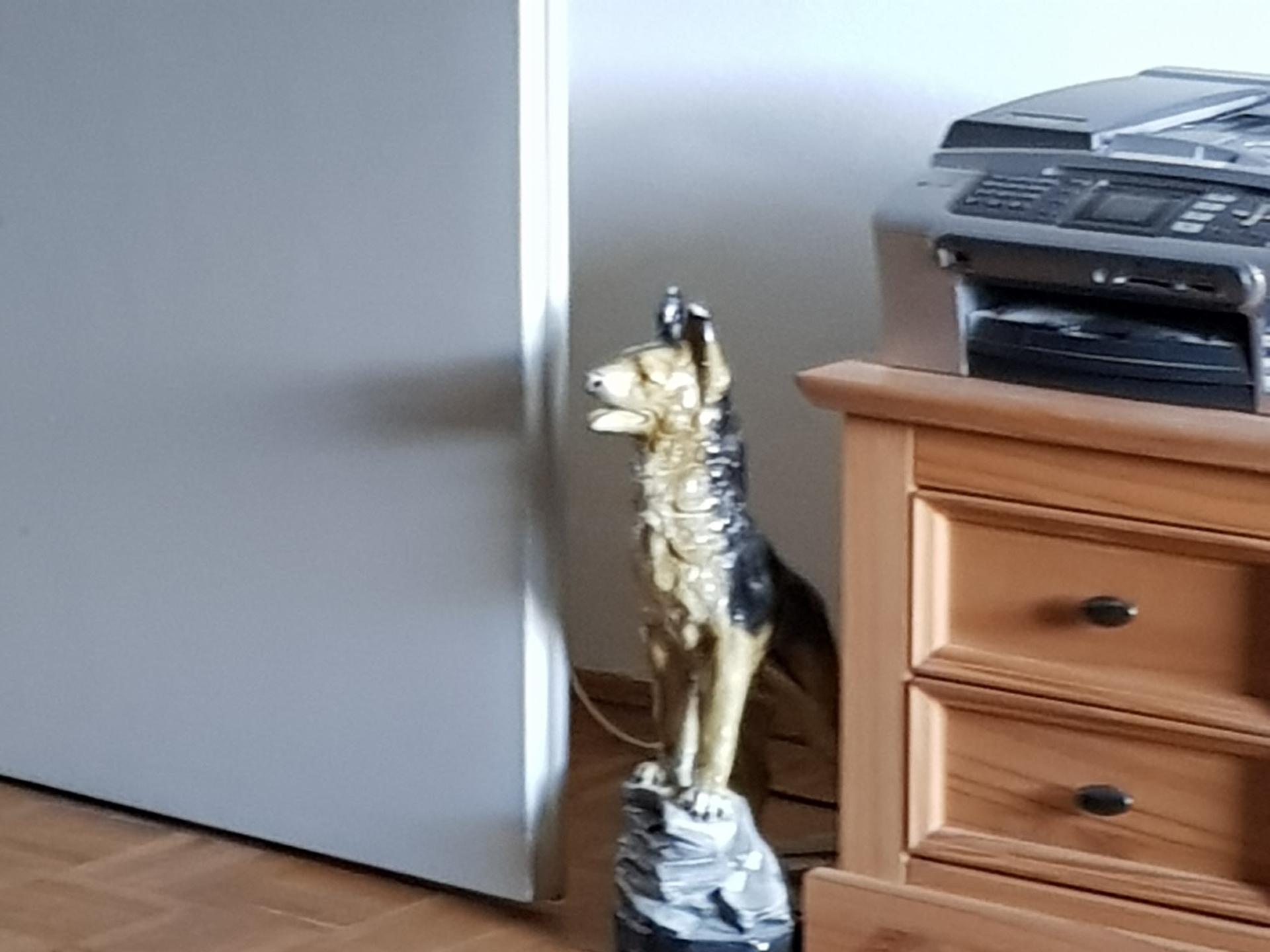 Ansicht 2 von Tierärztliche Gemeinschaftspraxis Übersee