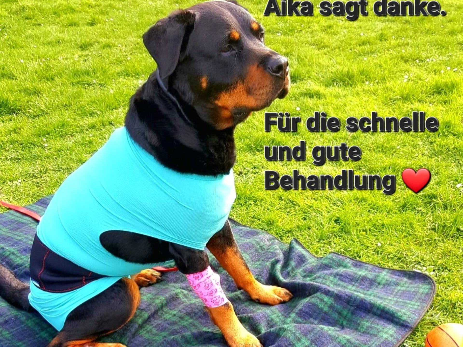 Ansicht 1 von Tierarztpraxis Wirbelvet Mareike Unverricht