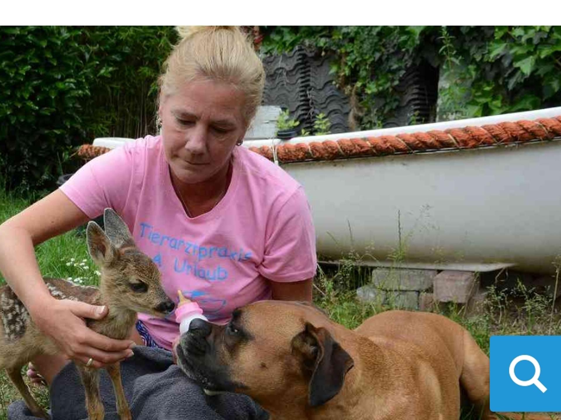 Ansicht 1 von Tierarztpraxis Astrid Urlaub