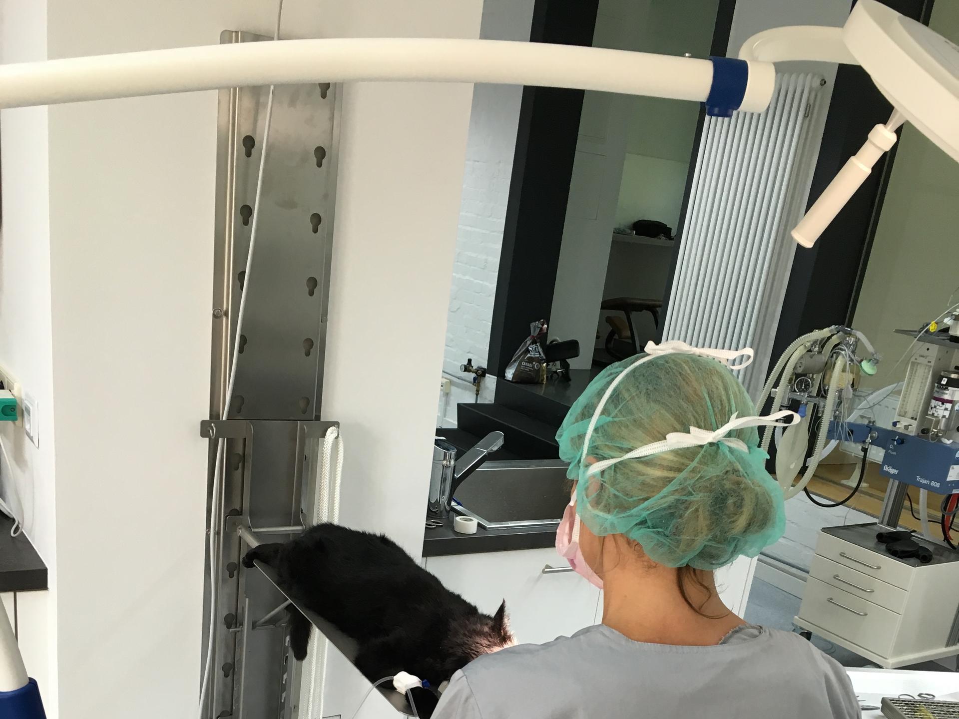 Ansicht 3 von Kompetenzzentrum Kleintiermedizin Dr. Valeska Furck