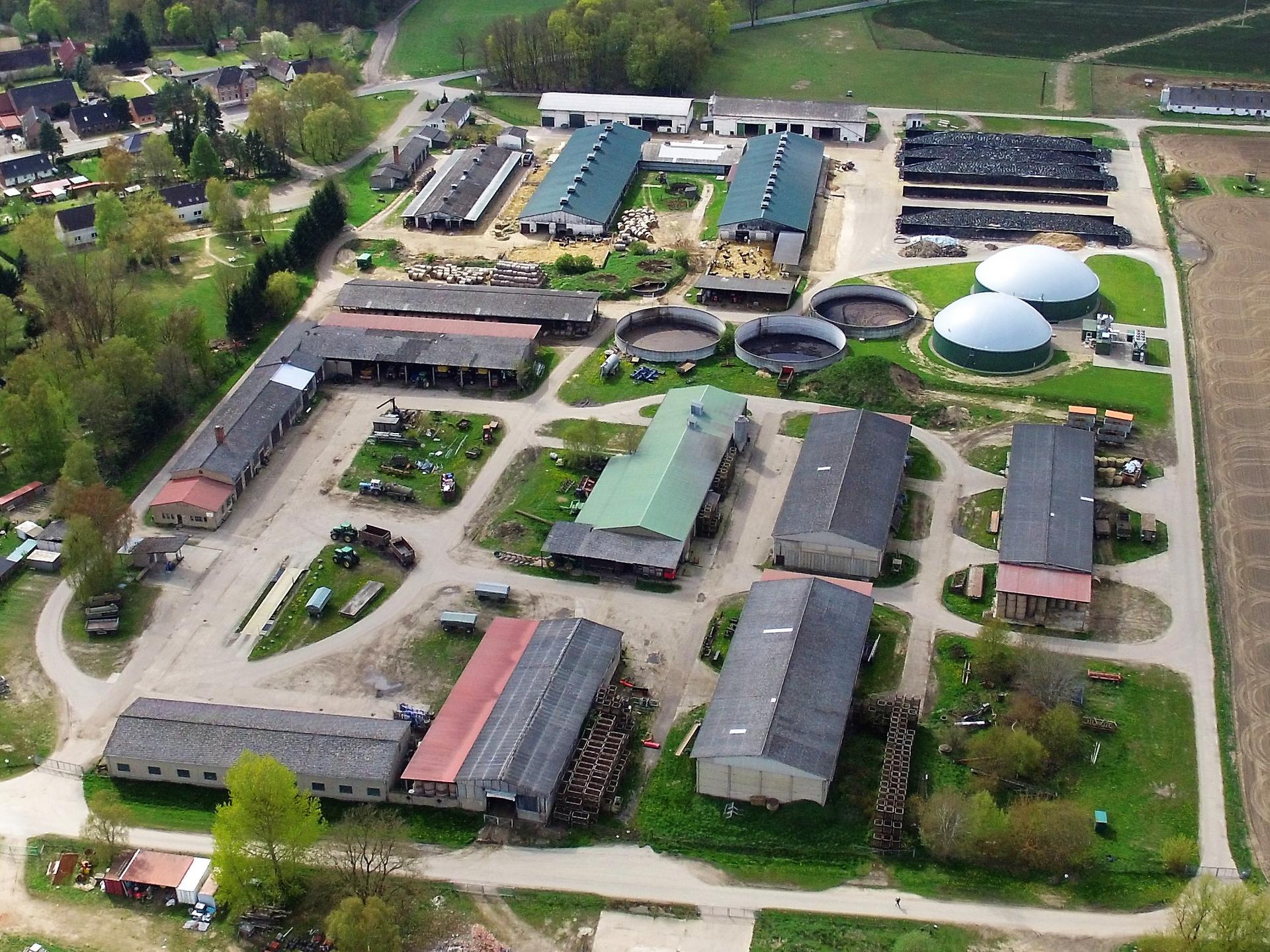Ansicht 1 von Siggelkow Agrar eG