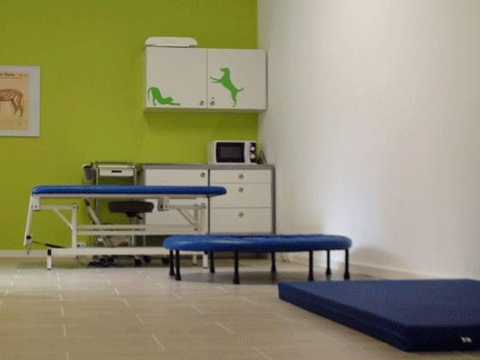 Ansicht 1 von Tierarztpraxis Dr. Susanne Steenbeck - Physiotherapie, Osteopathie, Akupunktur