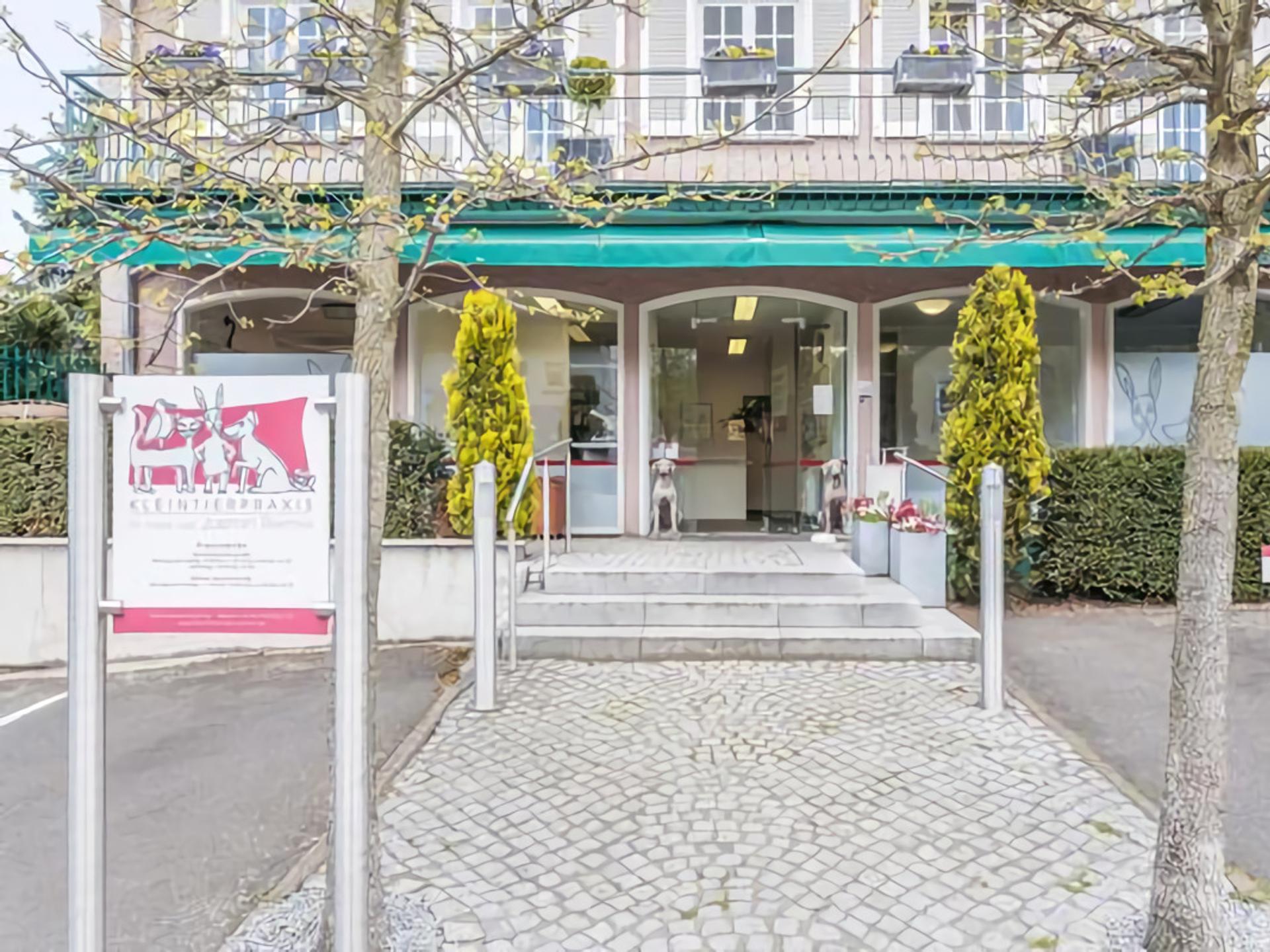 Ansicht 2 von Tierarzt Dr. Jasmin Riemel