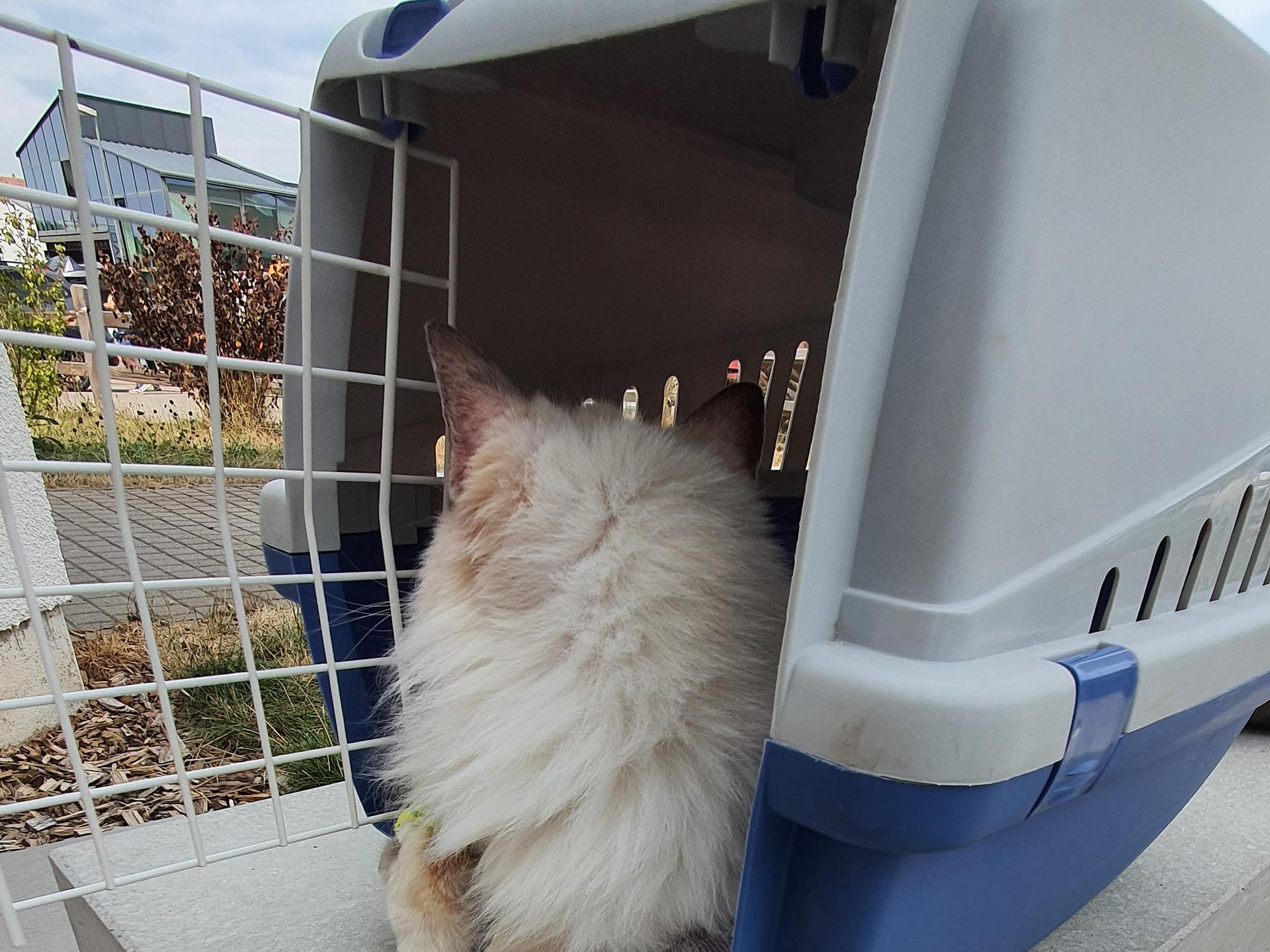 Ansicht 2 von Schwarzwald-Tierklinik GmbH