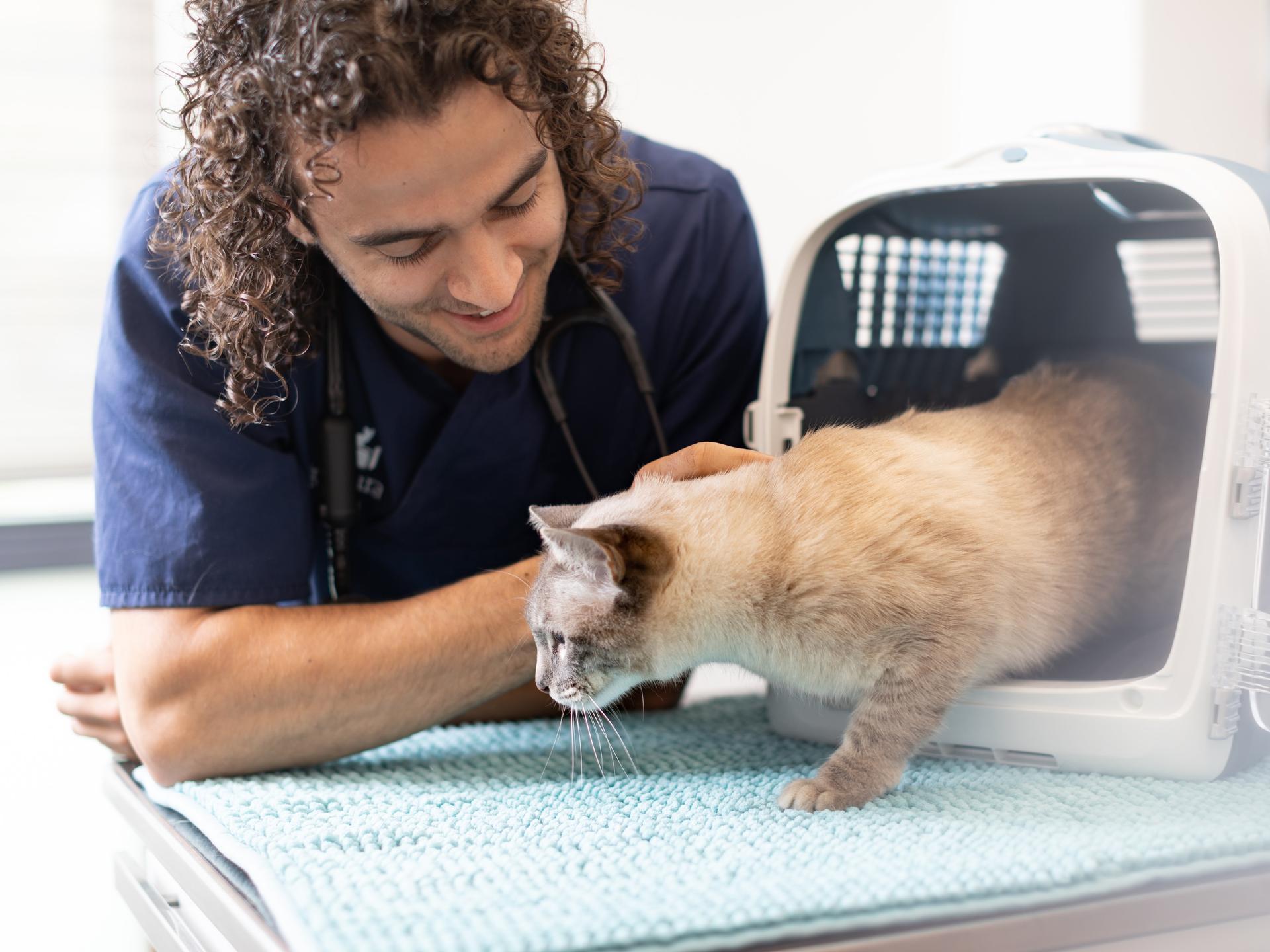 Ansicht 1 von AniCura Tierklinik Trier