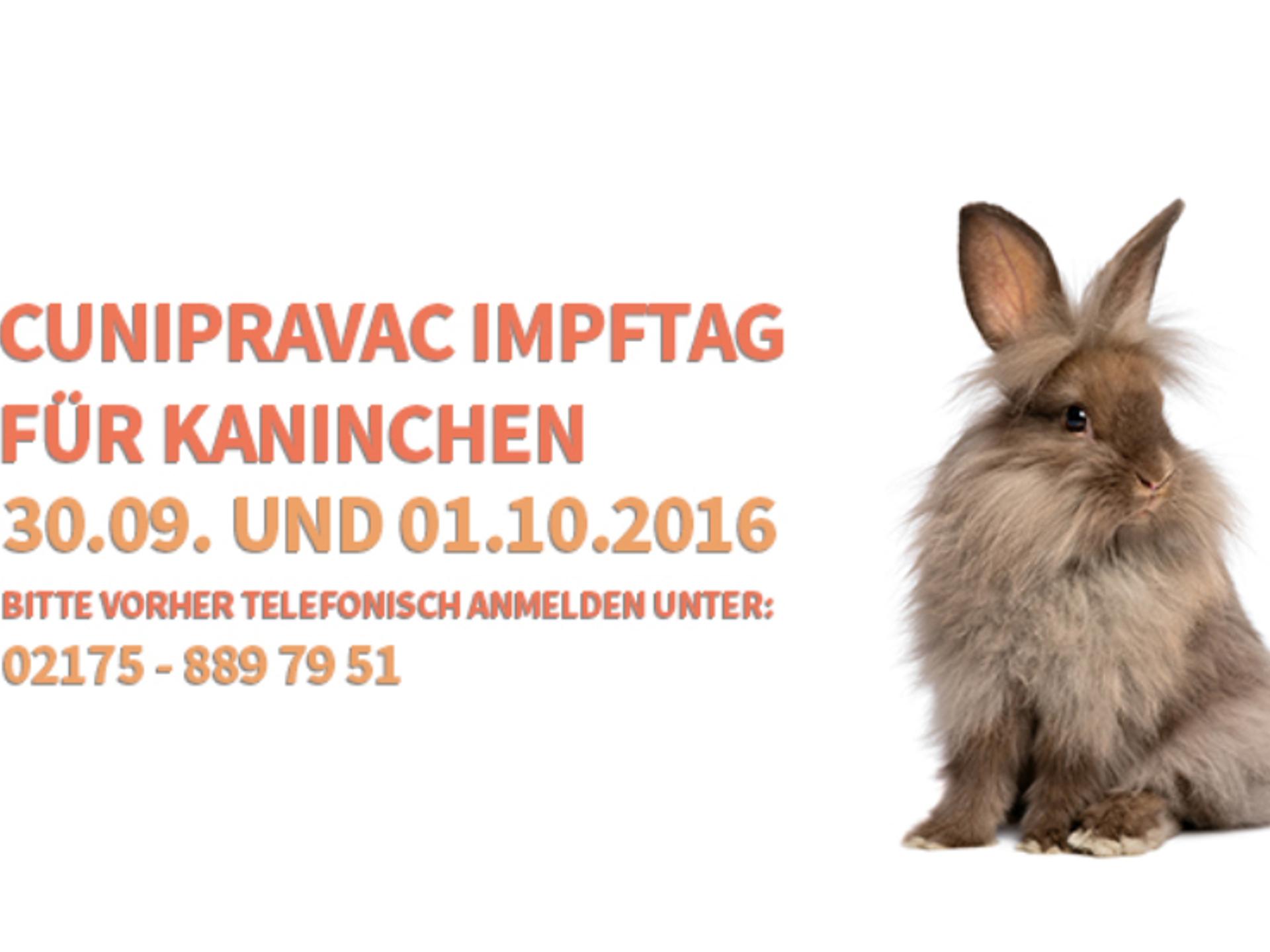 Ansicht 1 von Tierarztpraxis Poststraße