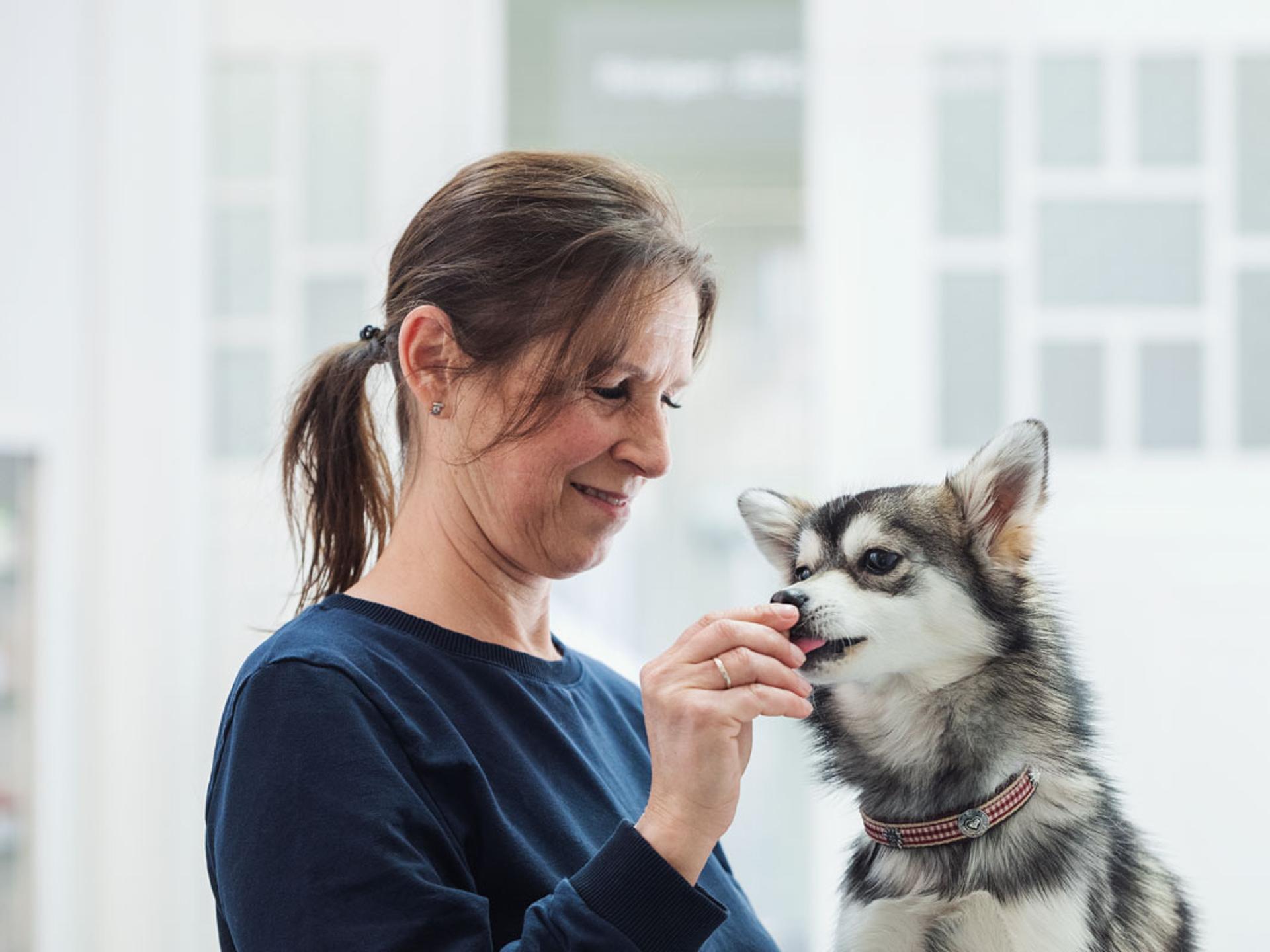 Ansicht 1 von Tierklinik Fuhlsbüttel