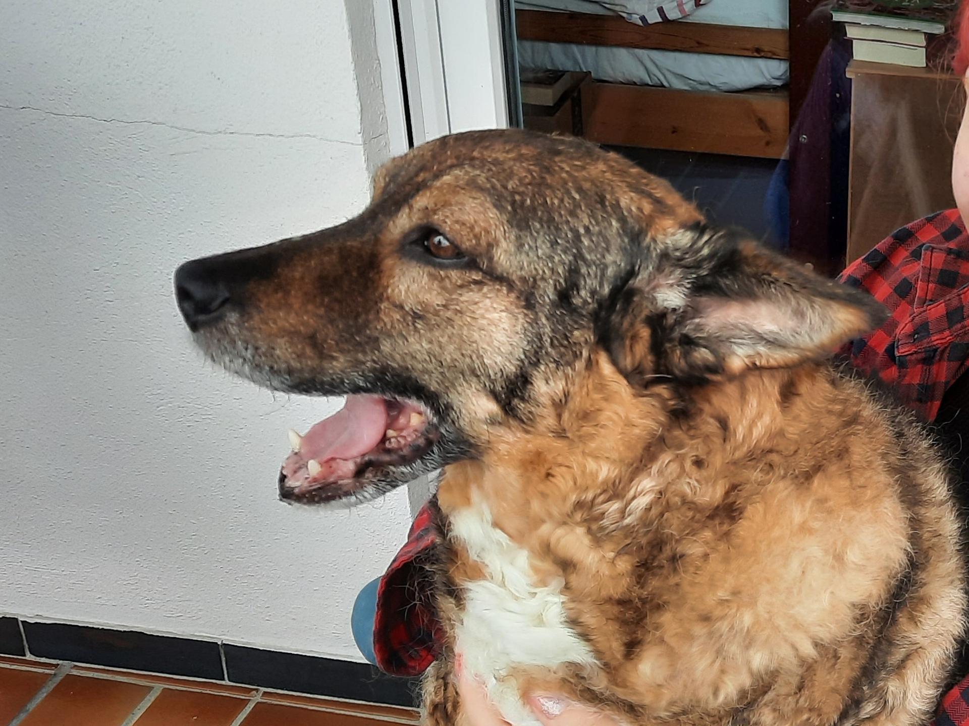 Ansicht 1 von Tierarzt Krüger