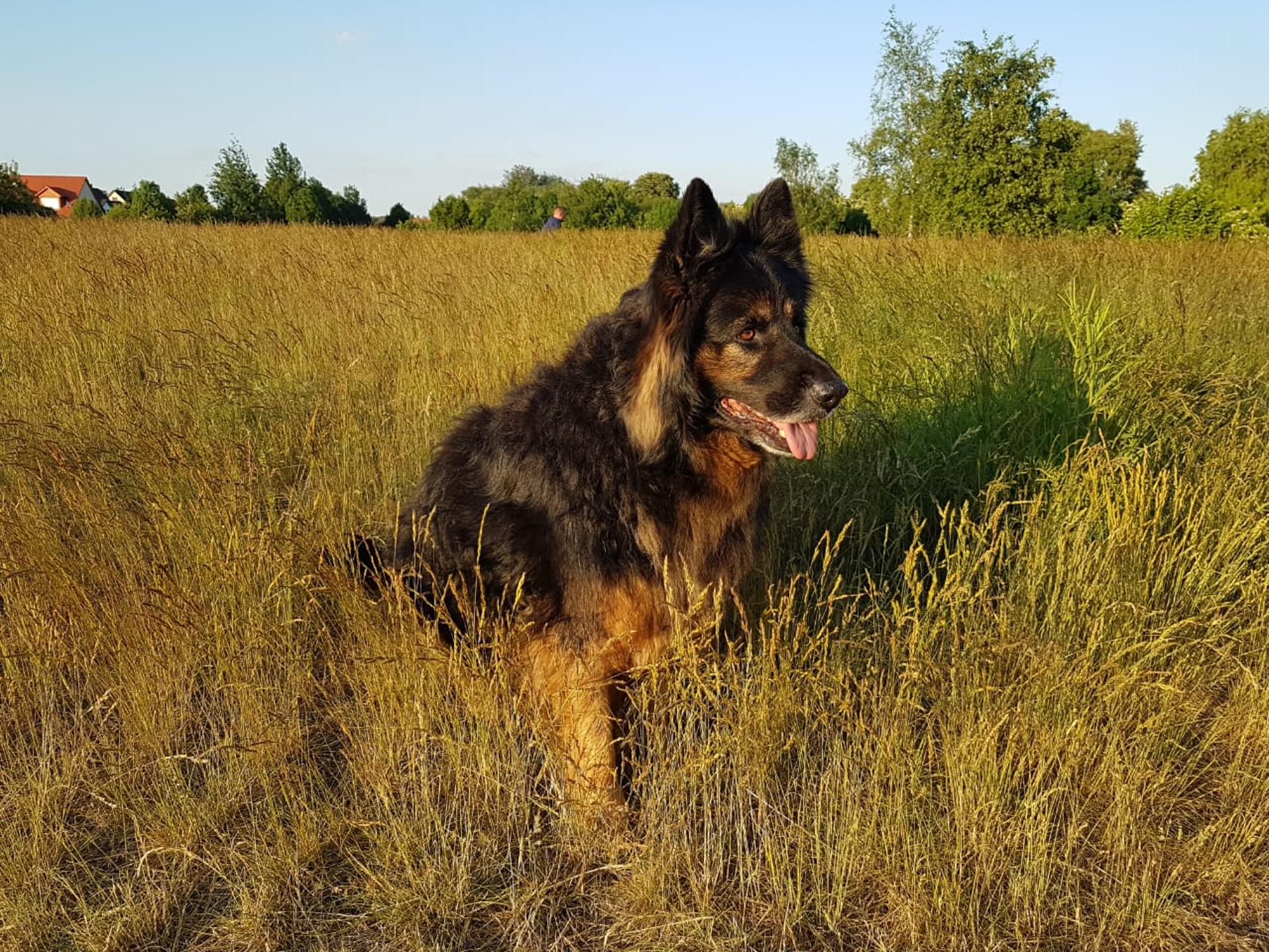 Ansicht 5 von Dr.med.vet. A. Schubert Tierarzt