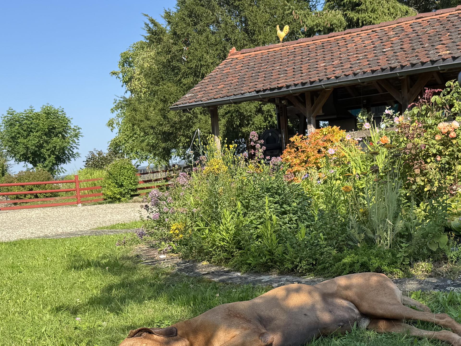 Ansicht 1 von Tierarztpraxis Mascha Beszus