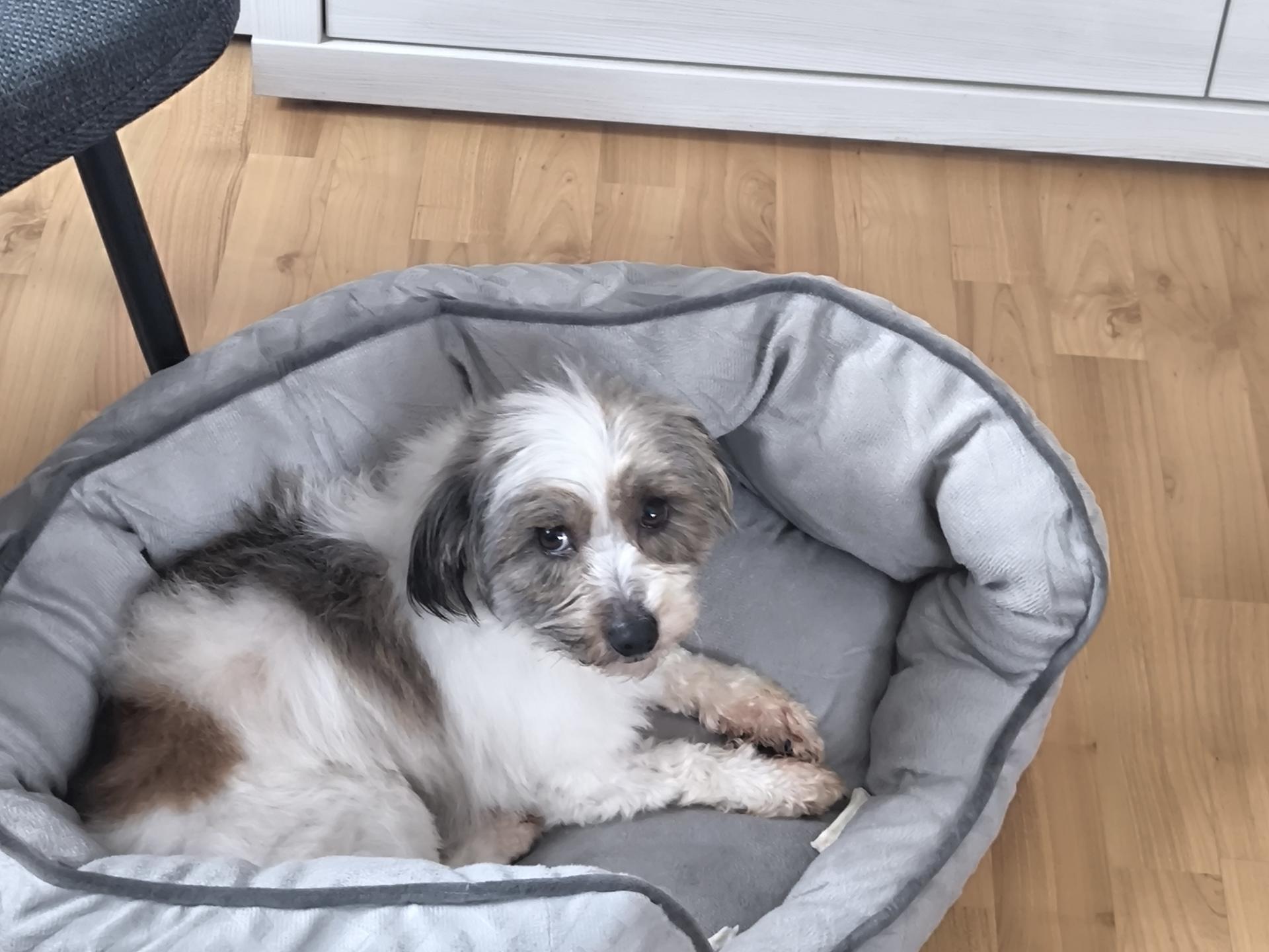 Ansicht 1 von Tierärztliche Gemeinschaftspraxis Ludwigsmühle