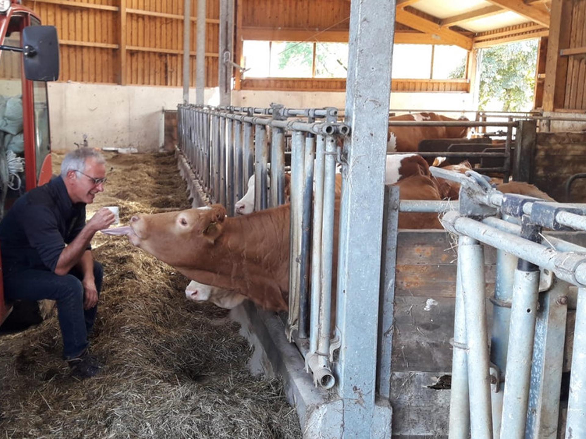 Ansicht 3 von Tierärztezentrum Ostrach Bootz & Partner GbR