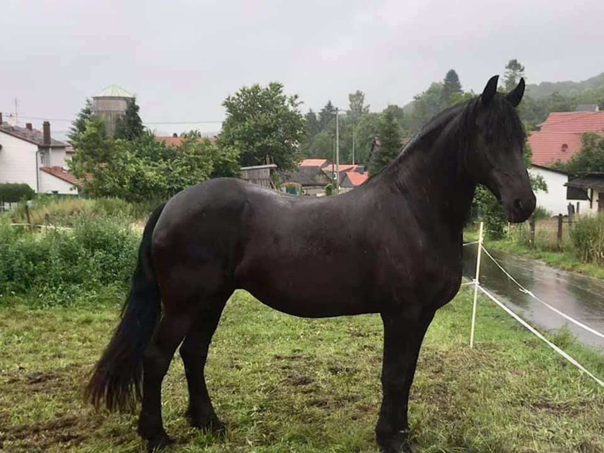 Ansicht 3 von Tierarztpraxis Köddingen