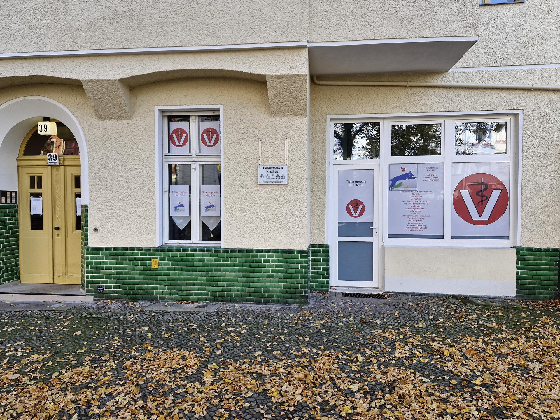 Ansicht 1 von Tierarzt Kiezfidel, Tierärztin