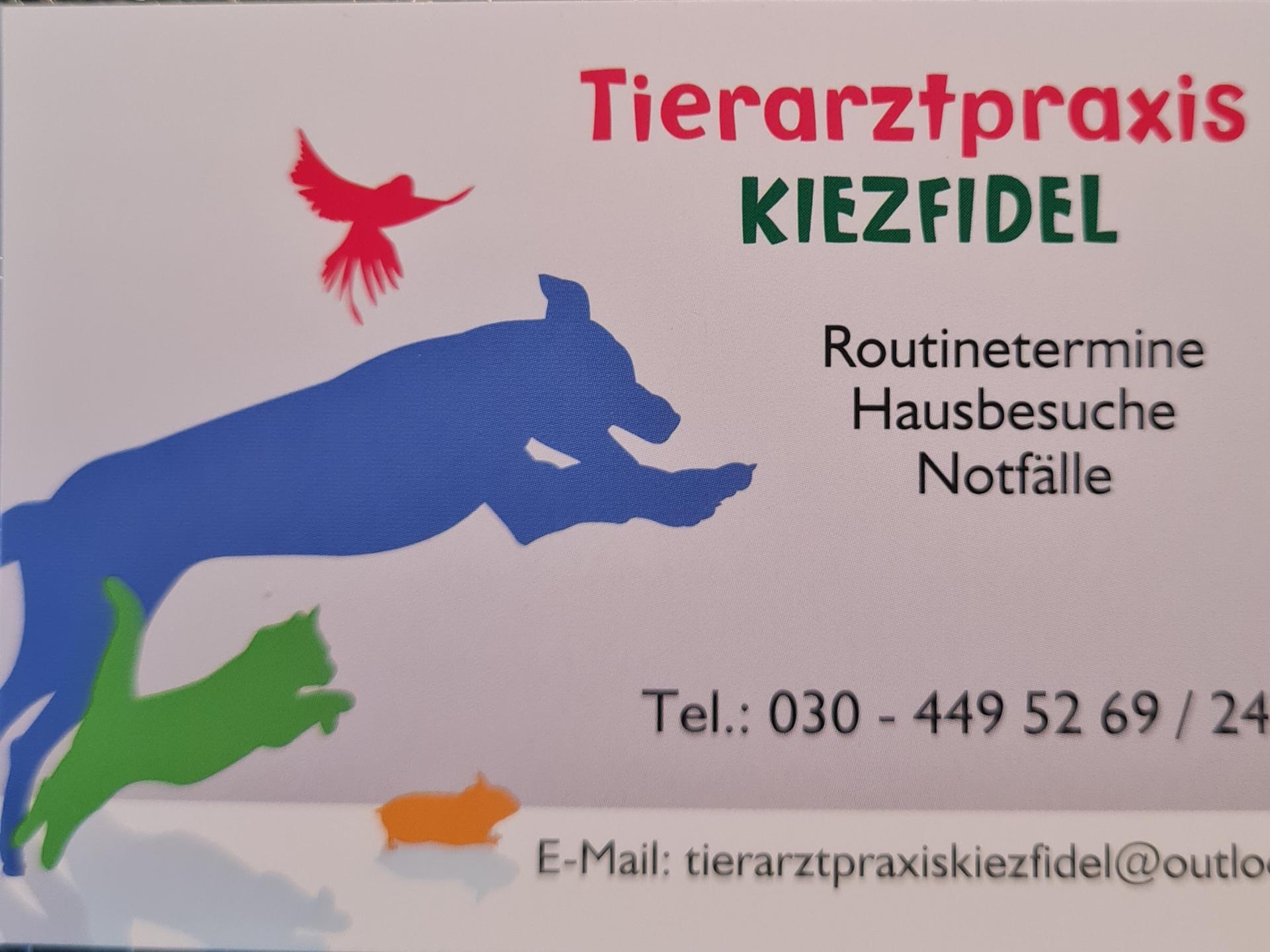 Ansicht 3 von Tierarzt Kiezfidel, Tierärztin