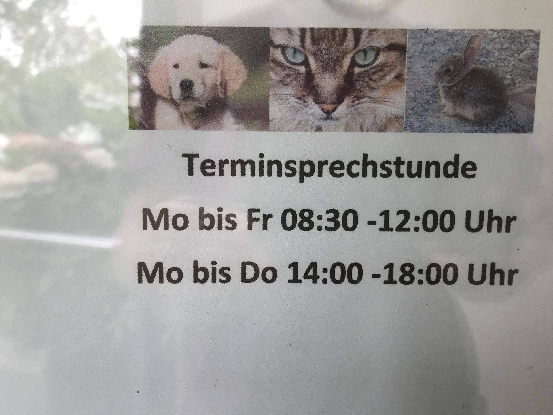 Ansicht 3 von Tierarztpraxis Katrin Freund - Akupunktur & Craniosacrale Osteopathie für Tiere- Schamanische Begleitung für Mensch & Tier
