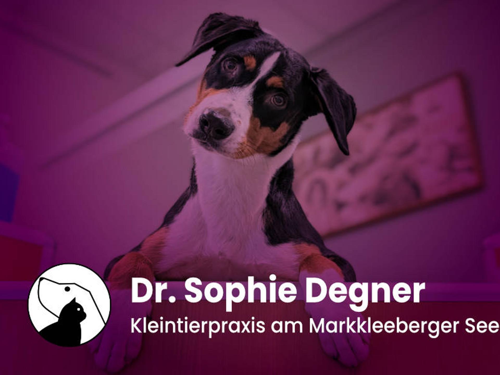 Ansicht 1 von Dr. Sophie Degner - Kleintierpraxis am Markkleeberger See