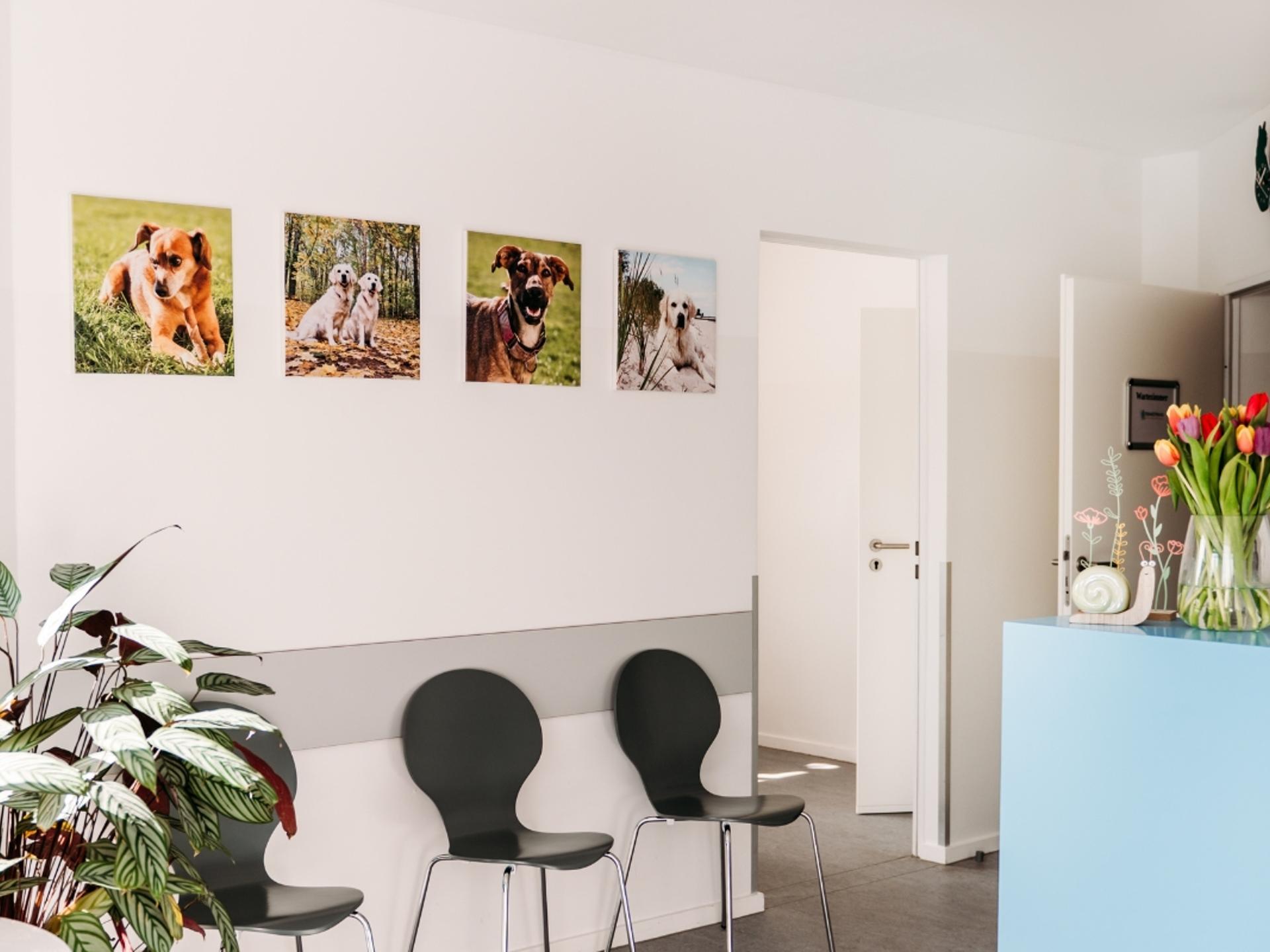 Ansicht 5 von Tierarzt Vormum Berlin-Mahlsdorf, Tierarztpraxis am Wildrosengehölz