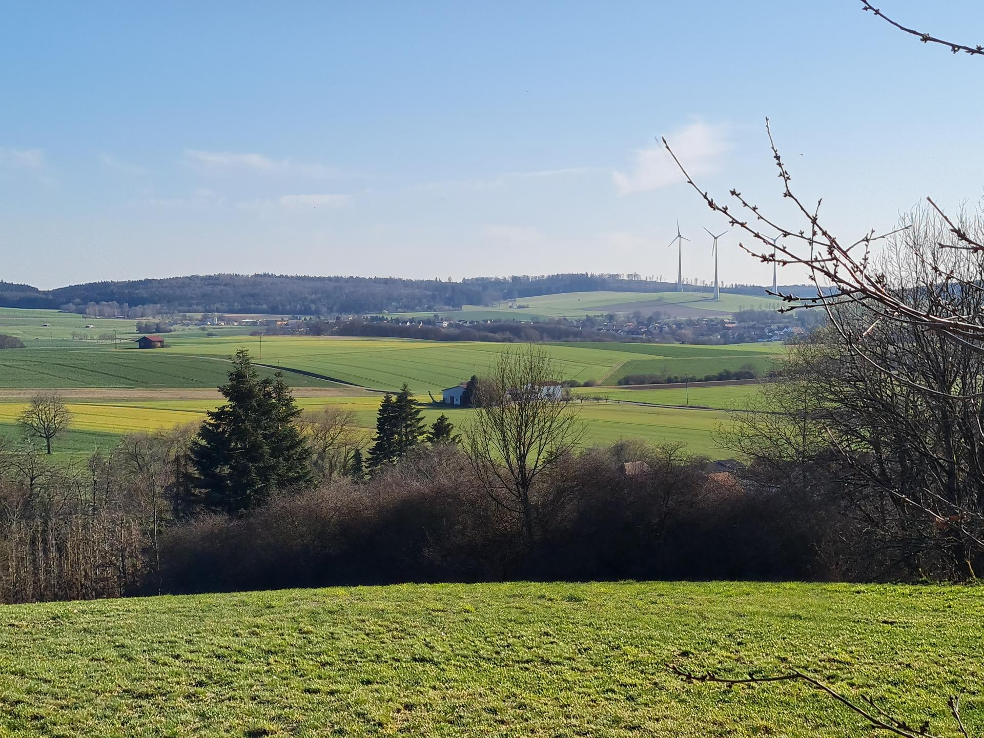 View 1 of Dagmar Immel Tierärztin