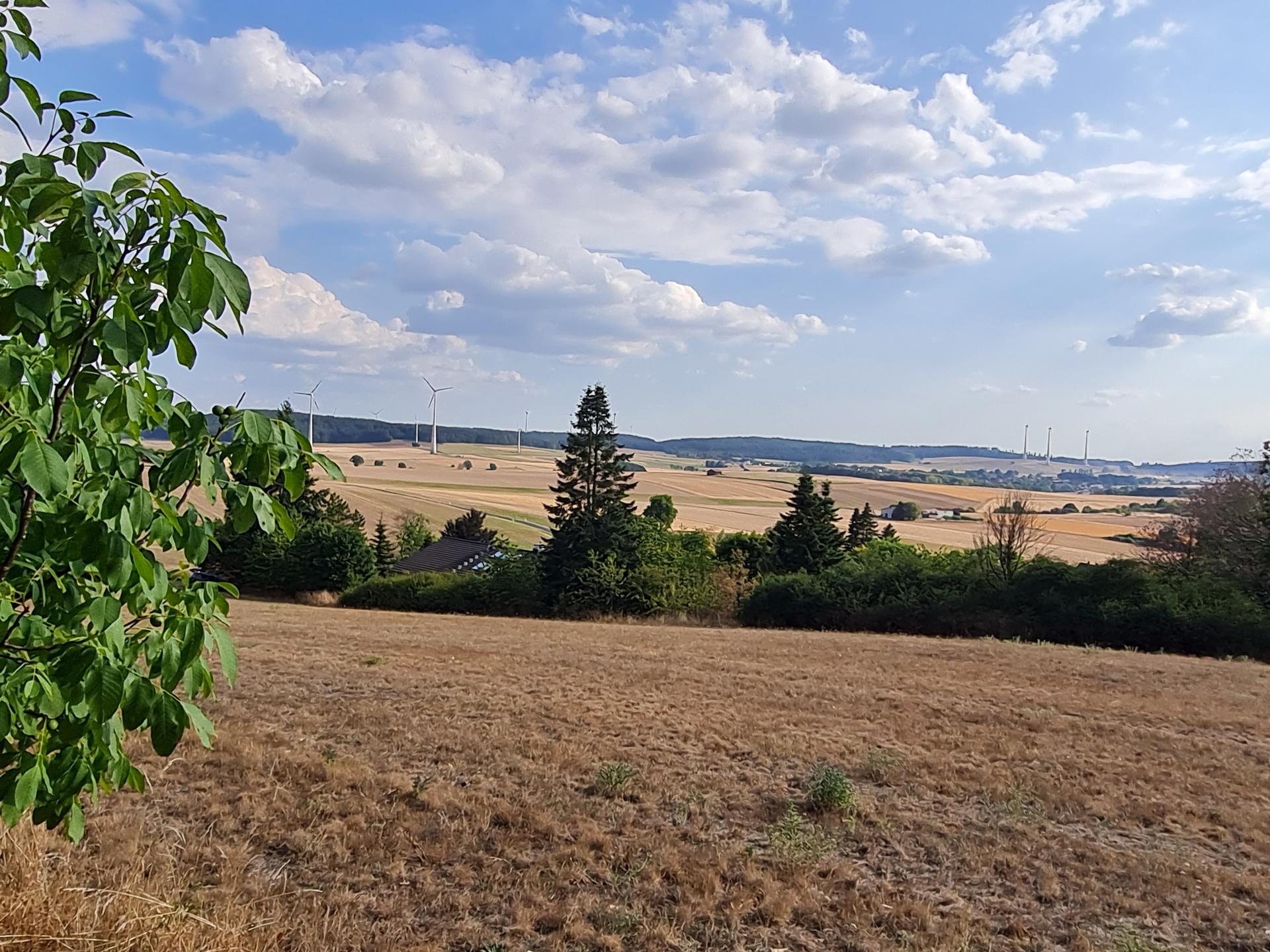 View 4 of Dagmar Immel Tierärztin