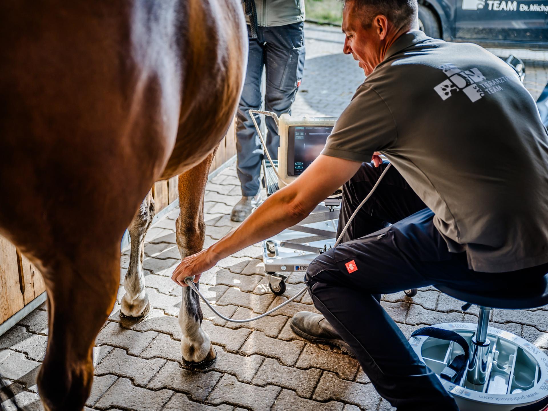 Ansicht 1 von Das Tierarztpraxis Team Dr. Michael Müller - Kleintiere & Pferde