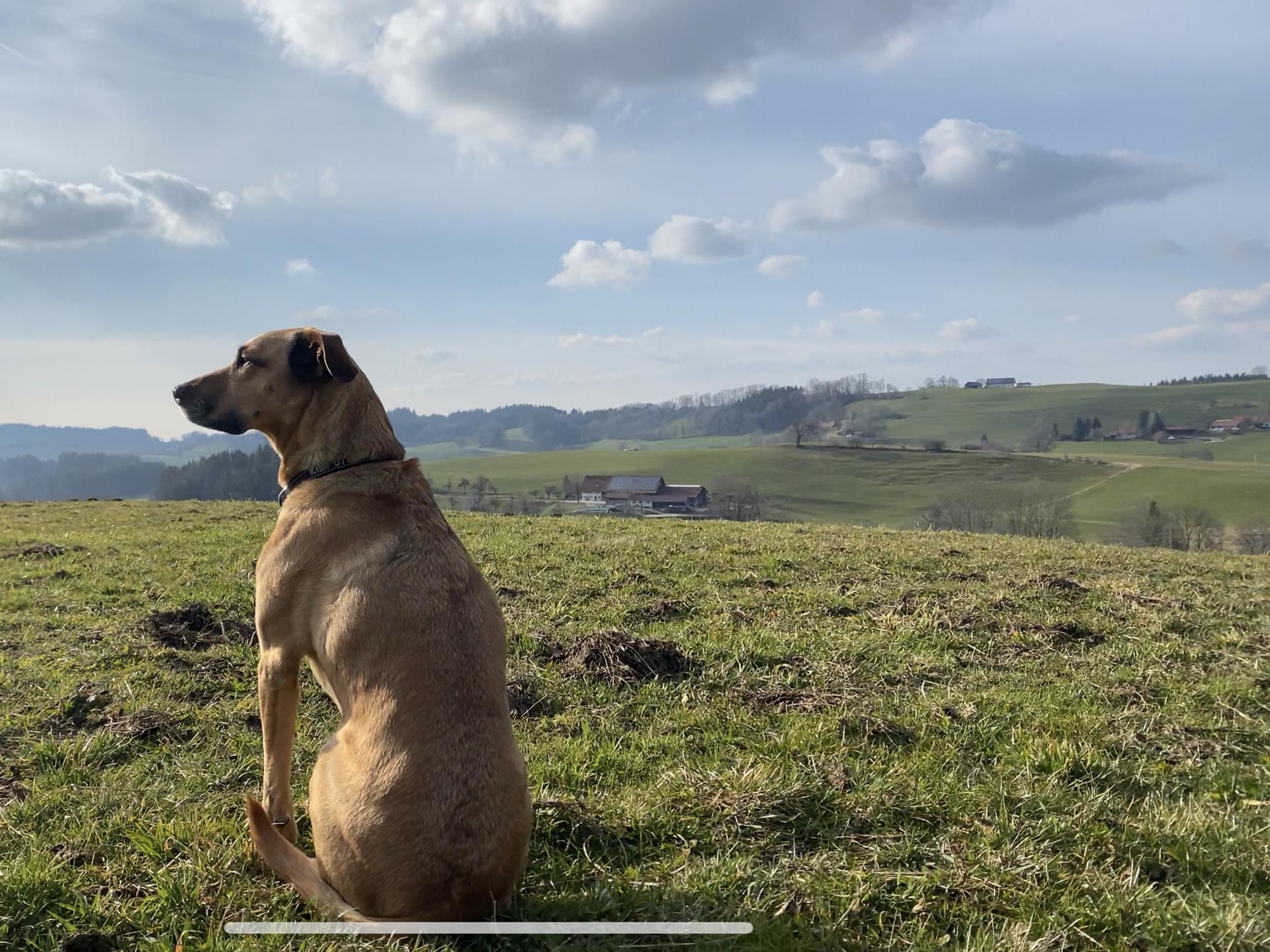 Ansicht 2 von Tierarztpraxis Isny Damme & Erler