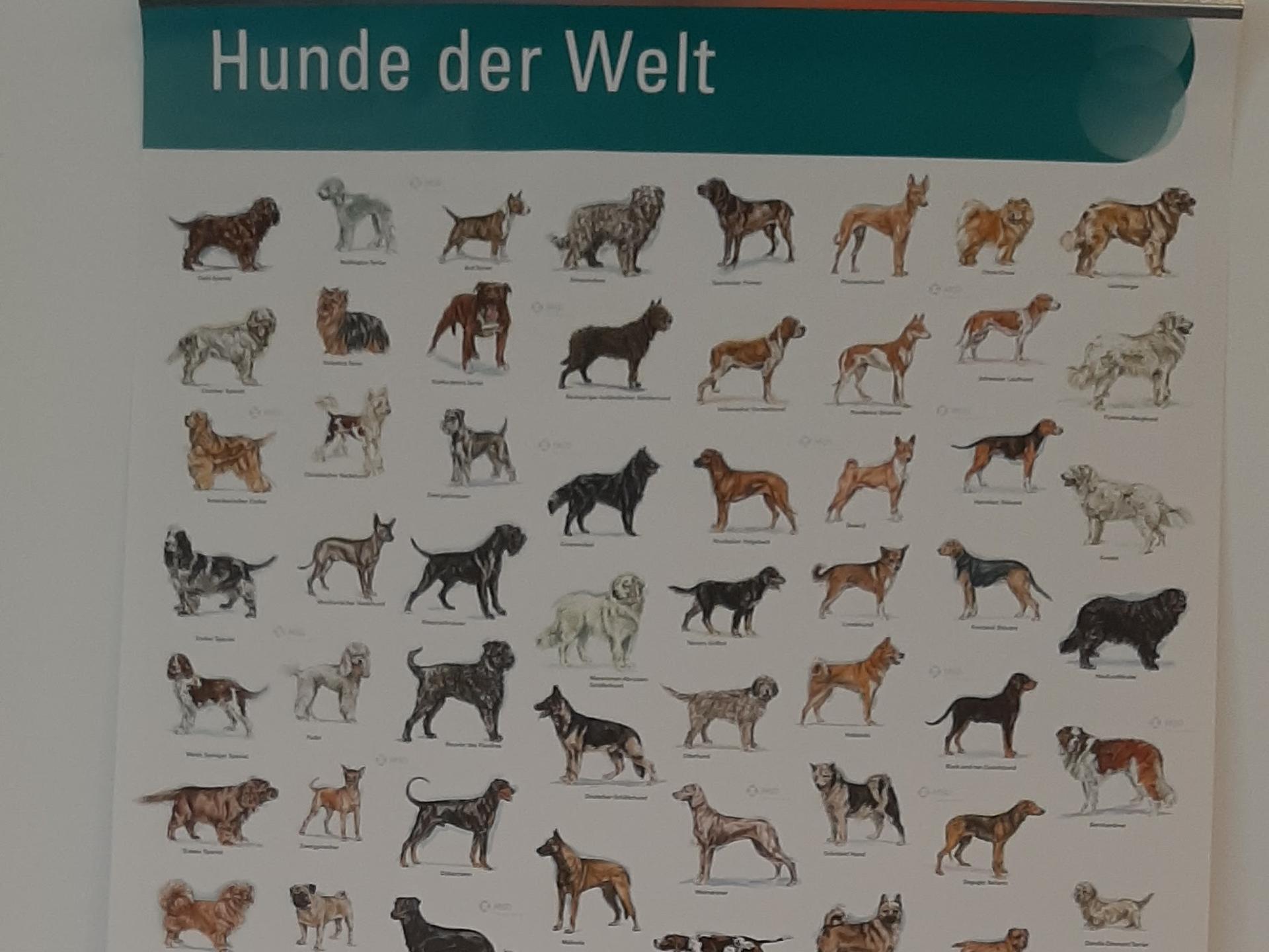 Ansicht 3 von Daniela Stöfken-Asbach