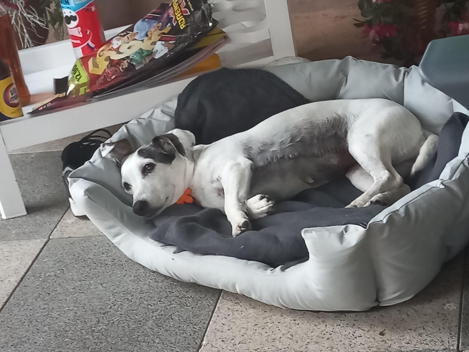 Ansicht 3 von Dr. med.vet.Frister & TA Bessert