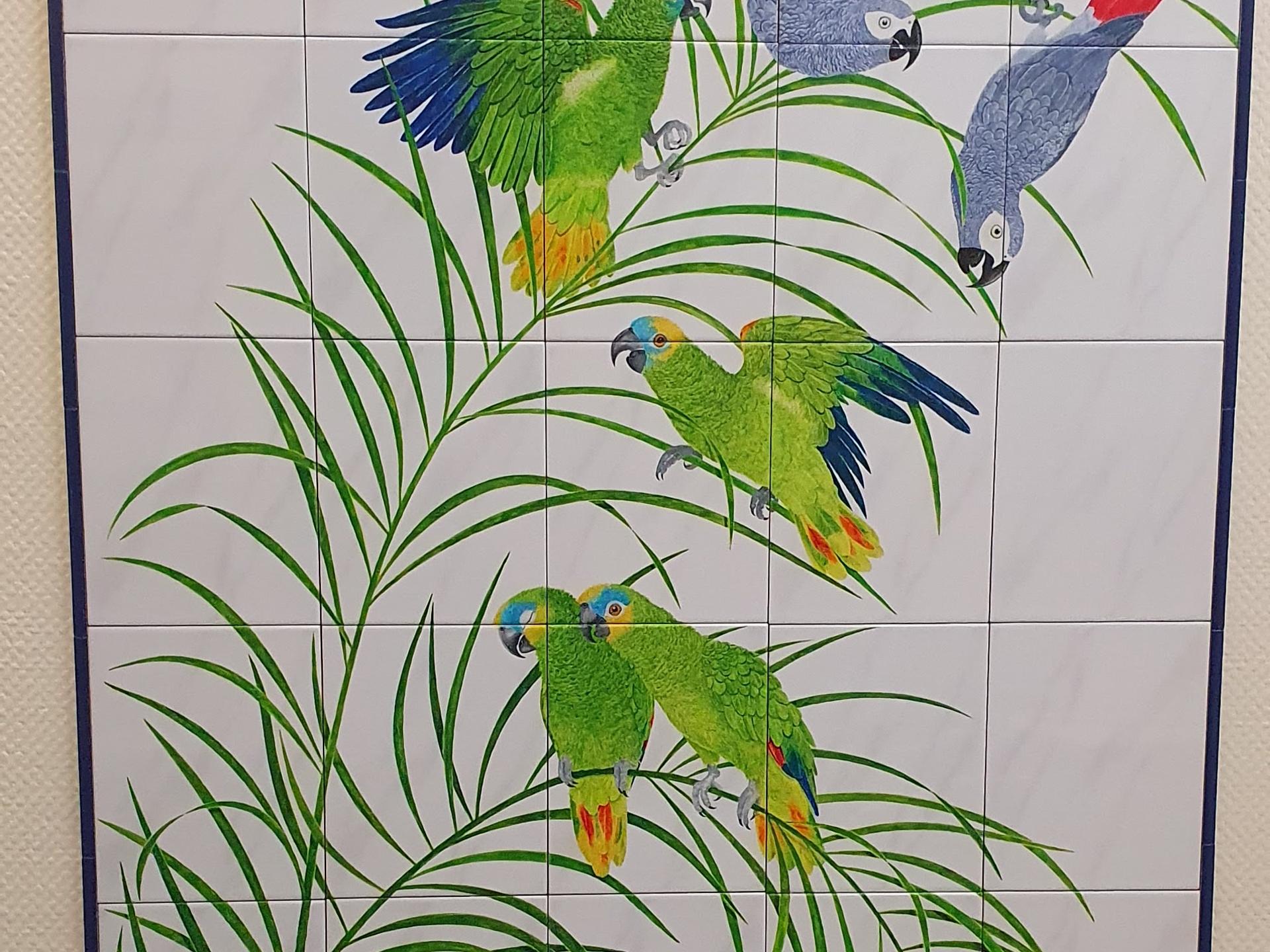 Ansicht 2 von VOGELPRAXIS