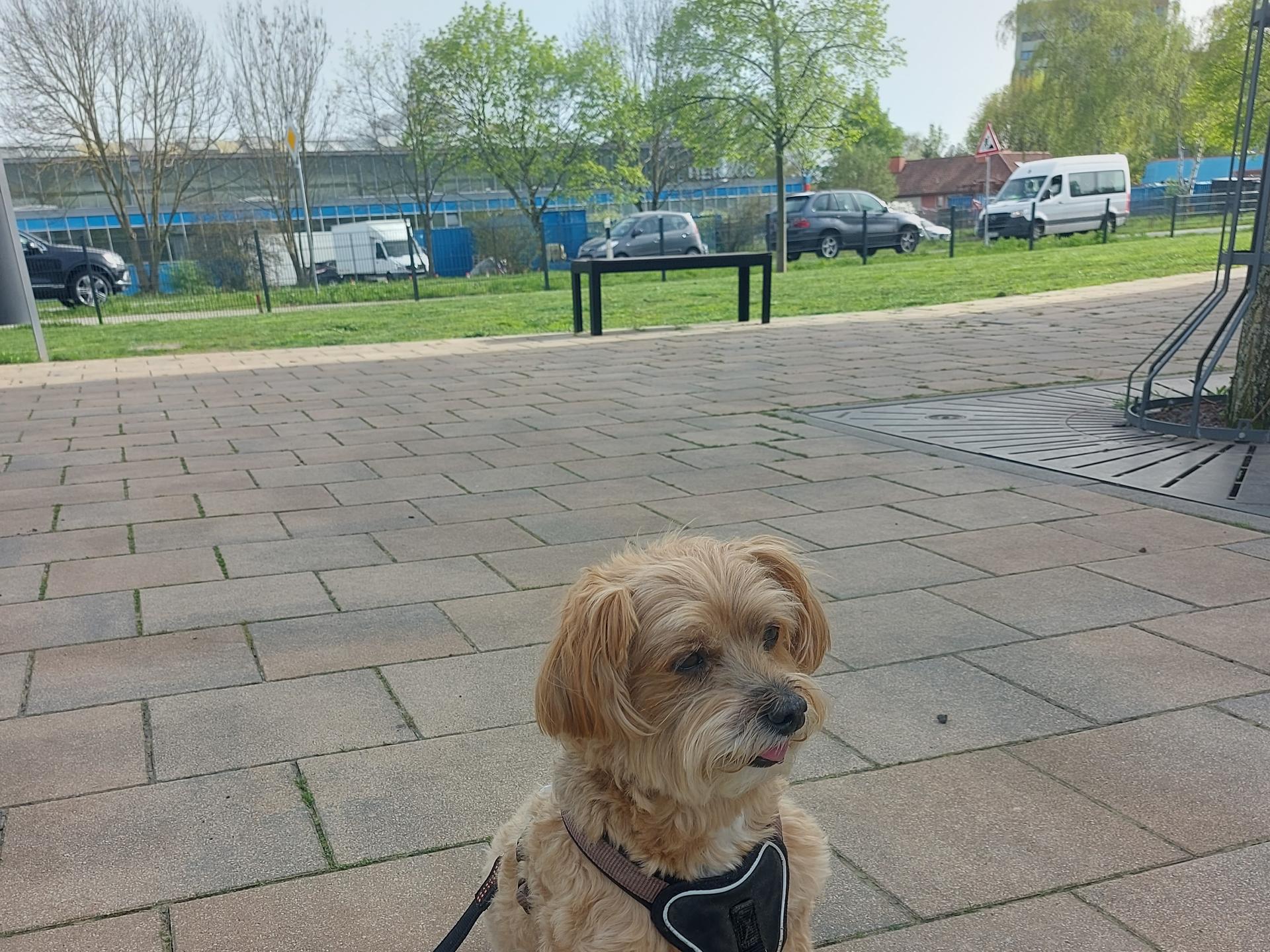 Ansicht 3 von Kleintierpraxis Auringen Dr. Michael Klein