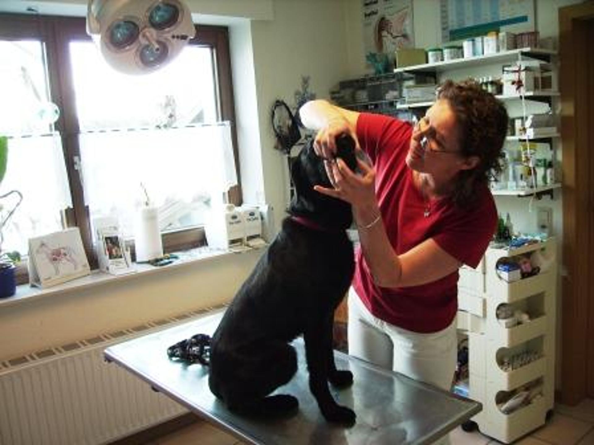Ansicht 1 von Dr.med.vet. Elke Deus Tierärztin