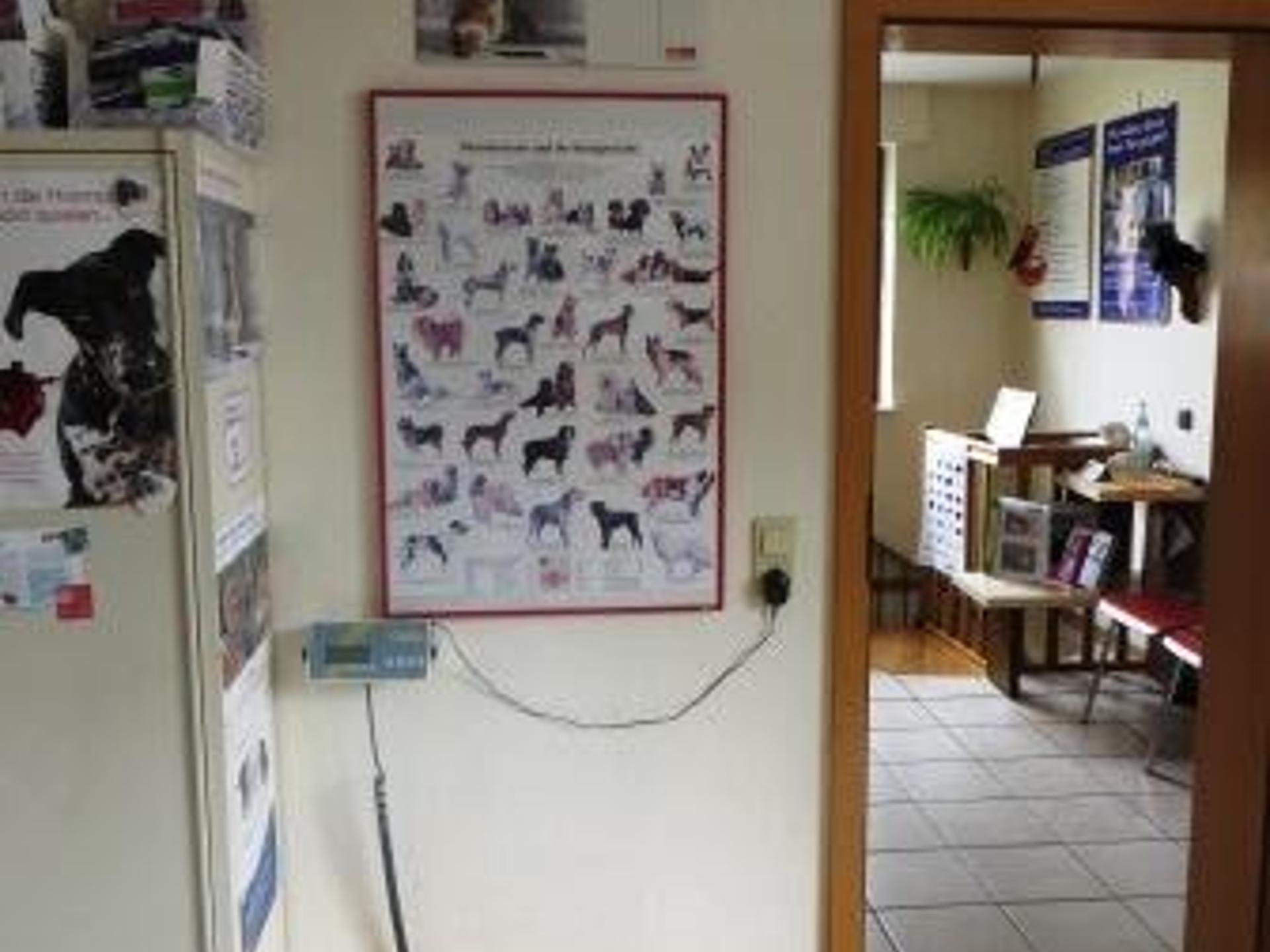 Ansicht 5 von Dr.med.vet. Elke Deus Tierärztin