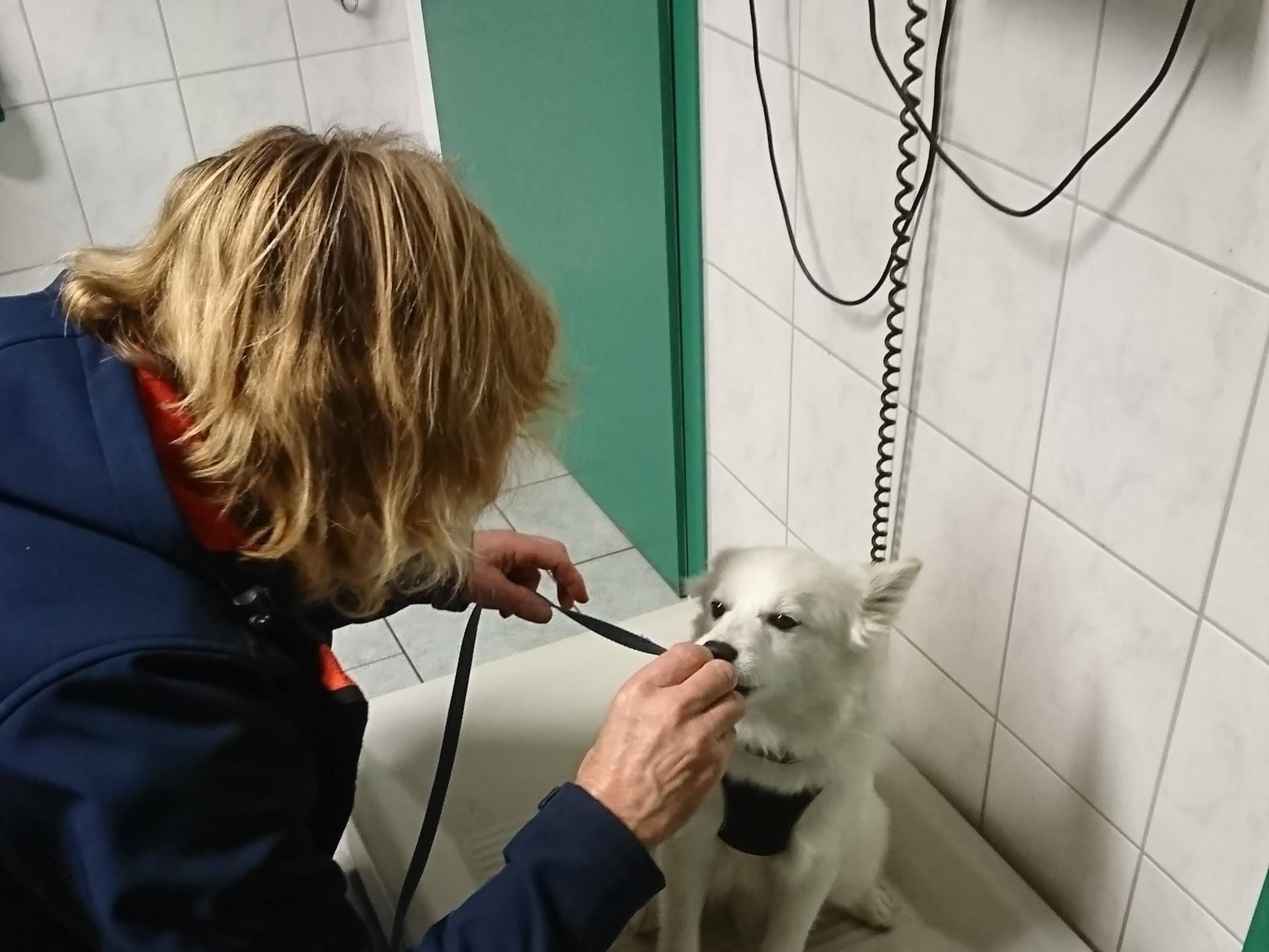 Ansicht 2 von Dorothee Oesterreich Tierärztin