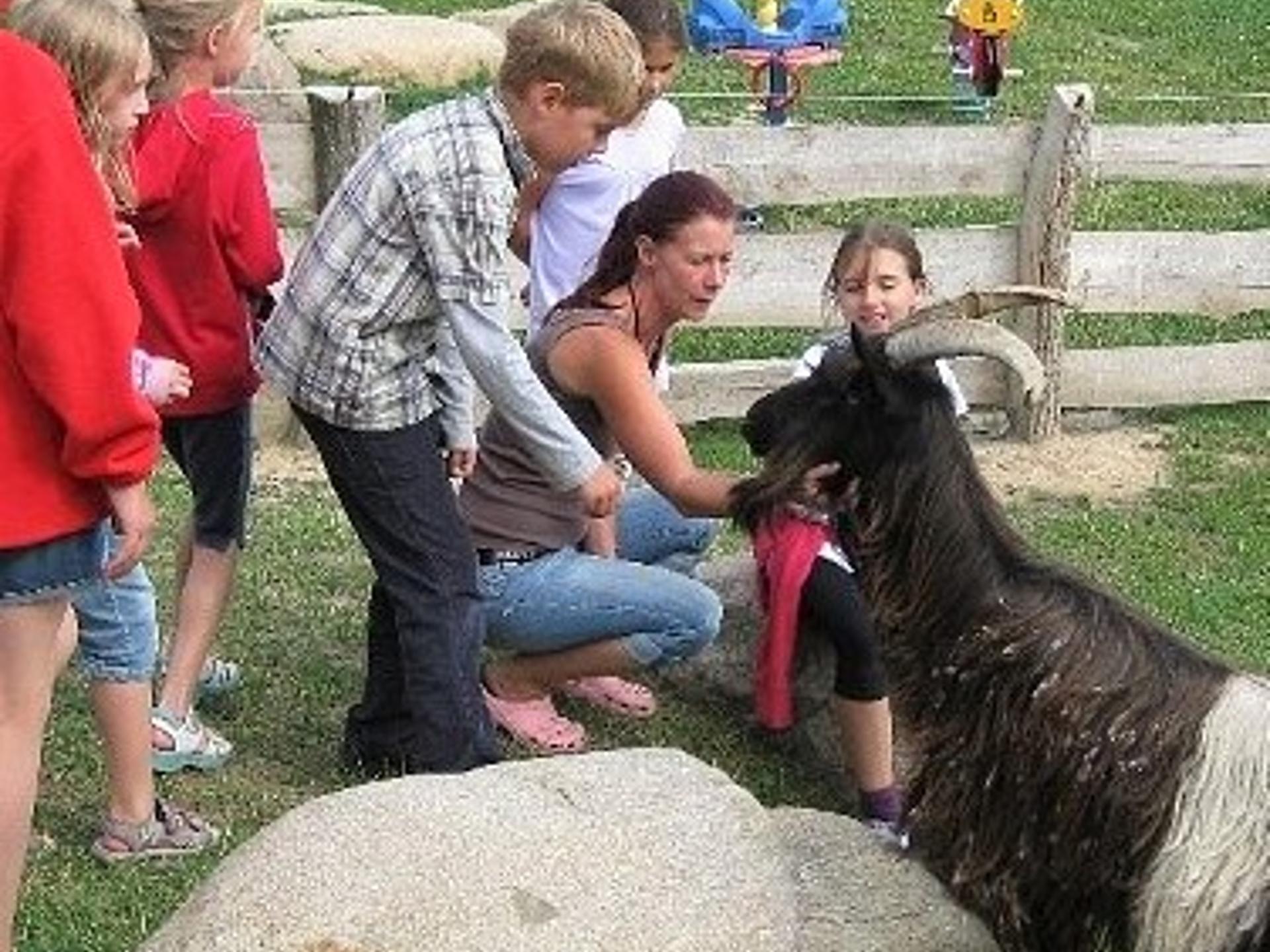 Ansicht 3 von Dorothee Oesterreich Tierärztin