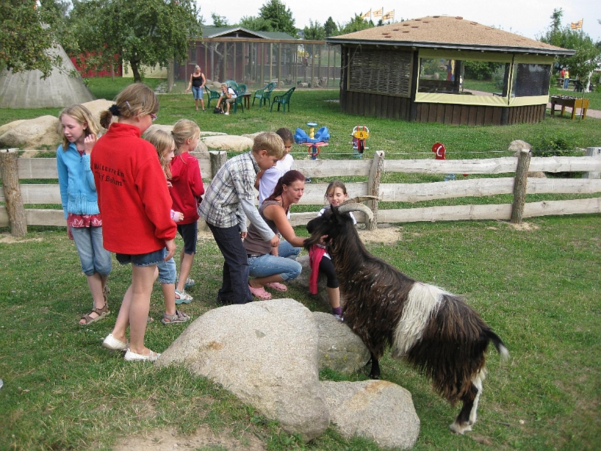 Ansicht 5 von Dorothee Oesterreich Tierärztin