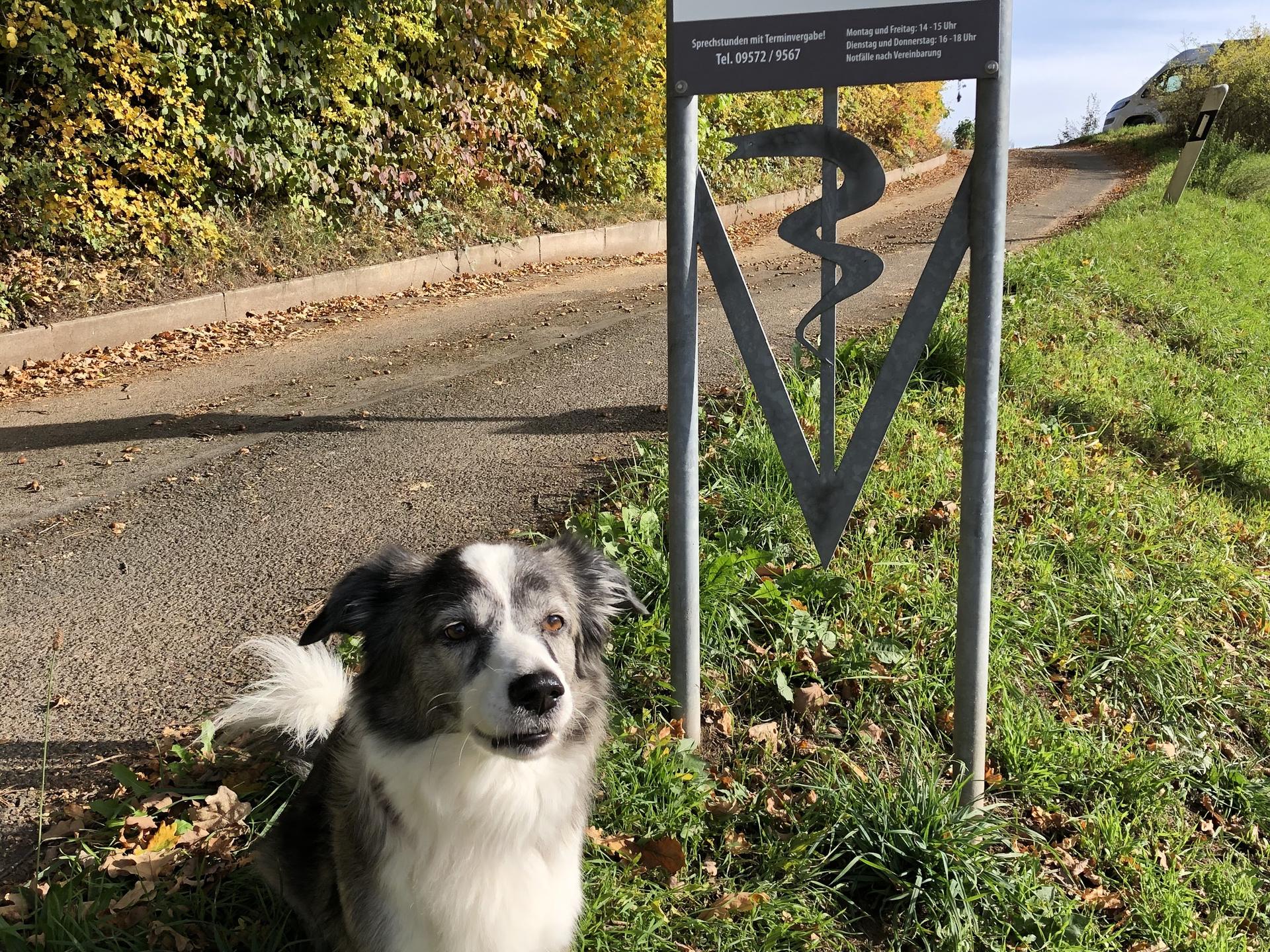 Ansicht 1 von Tierarztpraxis Flierl