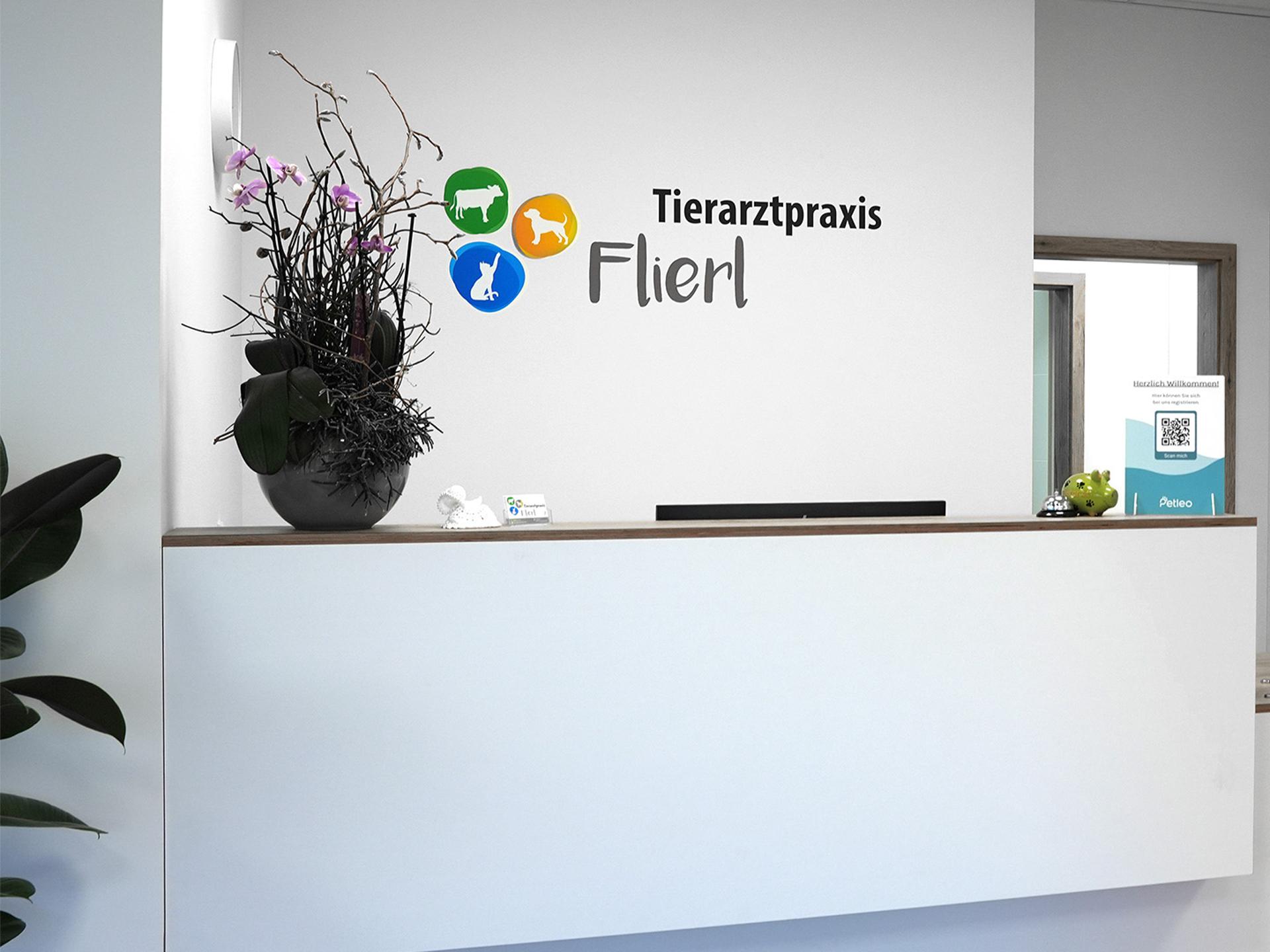 Ansicht 2 von Tierarztpraxis Flierl