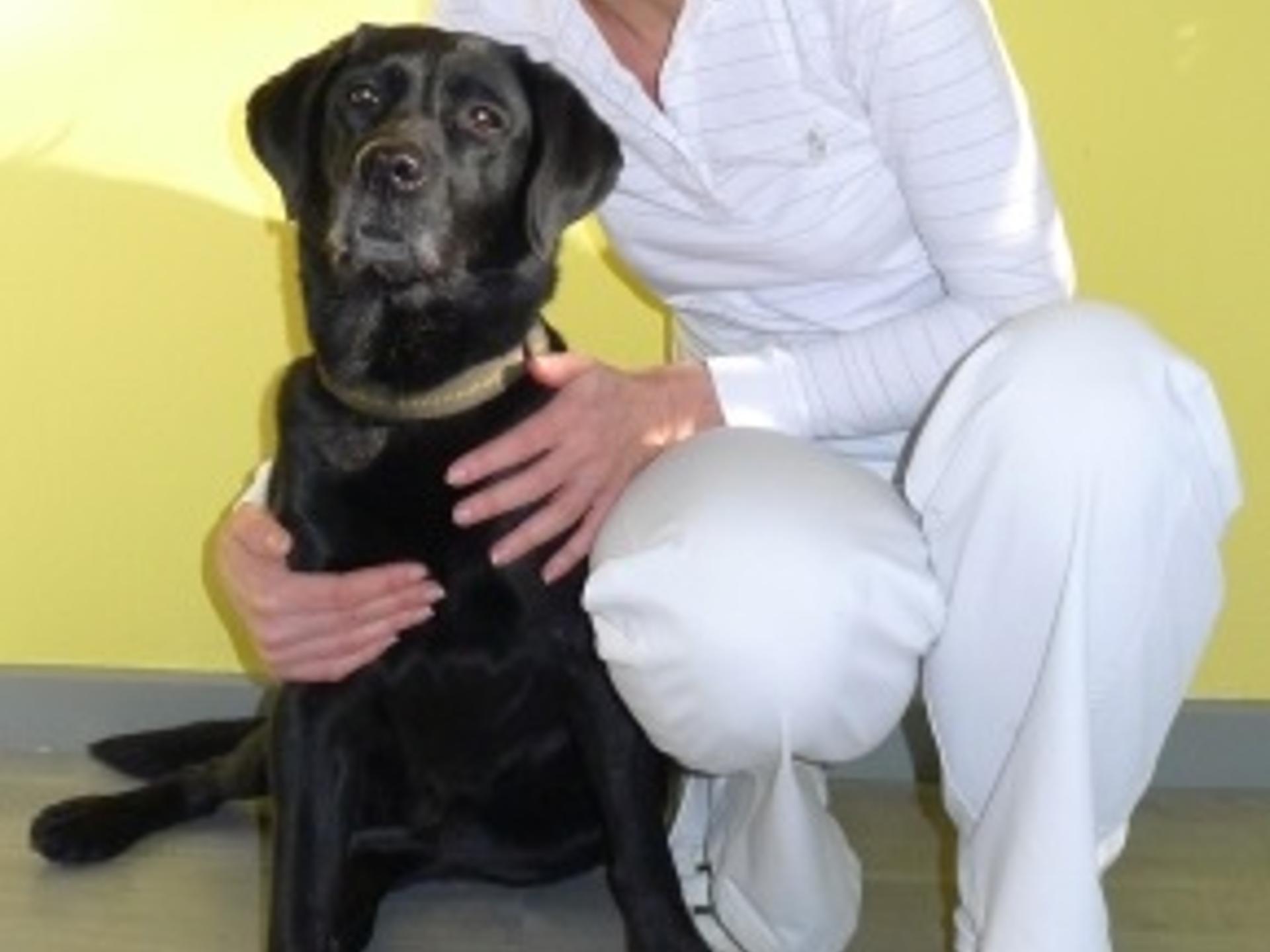 Ansicht 1 von Tierarztpraxis München Laim Dr. med. vet. Ursula Link