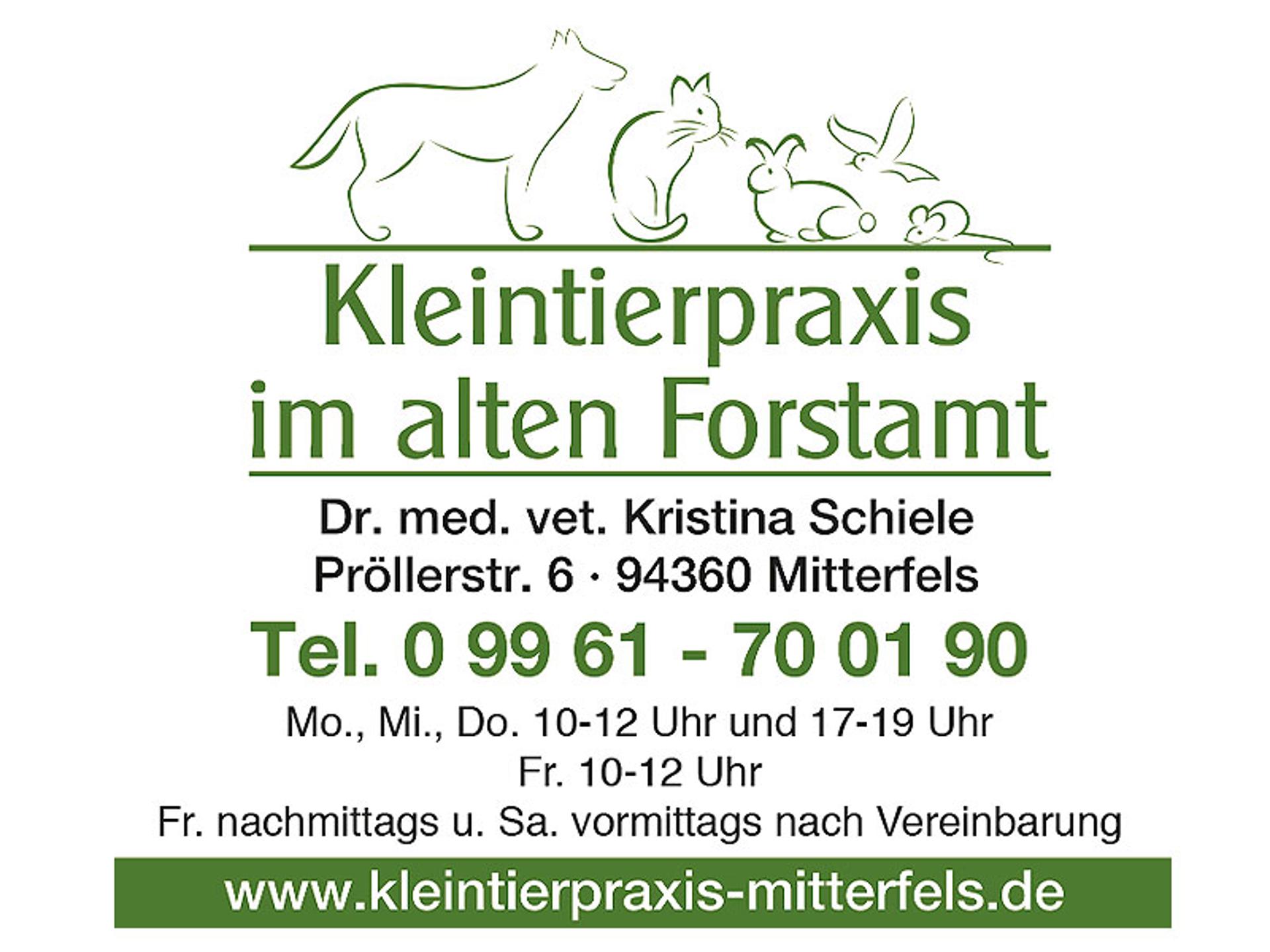 Ansicht 2 von Kleintierpraxis im alten Forstamt