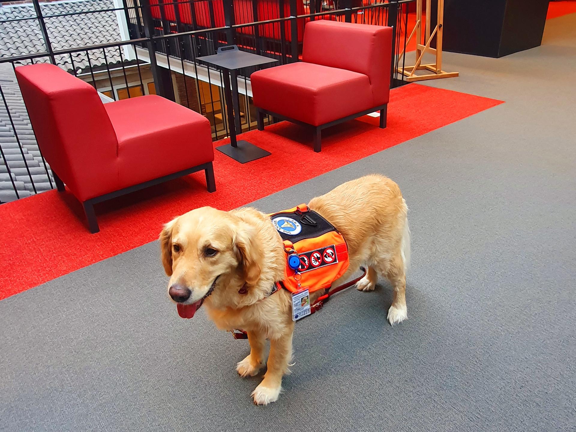 Ansicht 2 von Tierarztpraxis Sabine Stapelmann