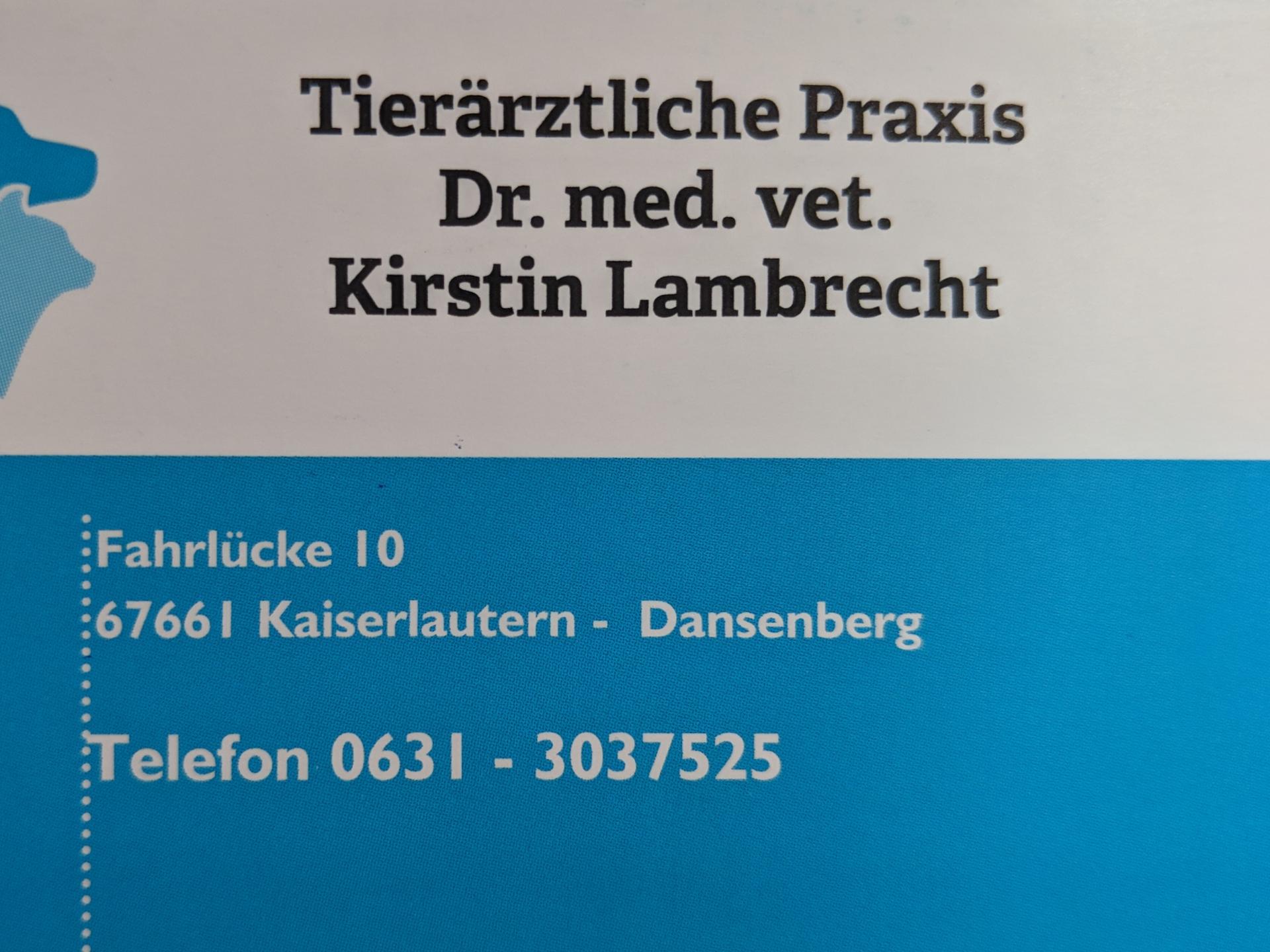 Ansicht 1 von Dr. med. vet. Kirstin Lambrecht