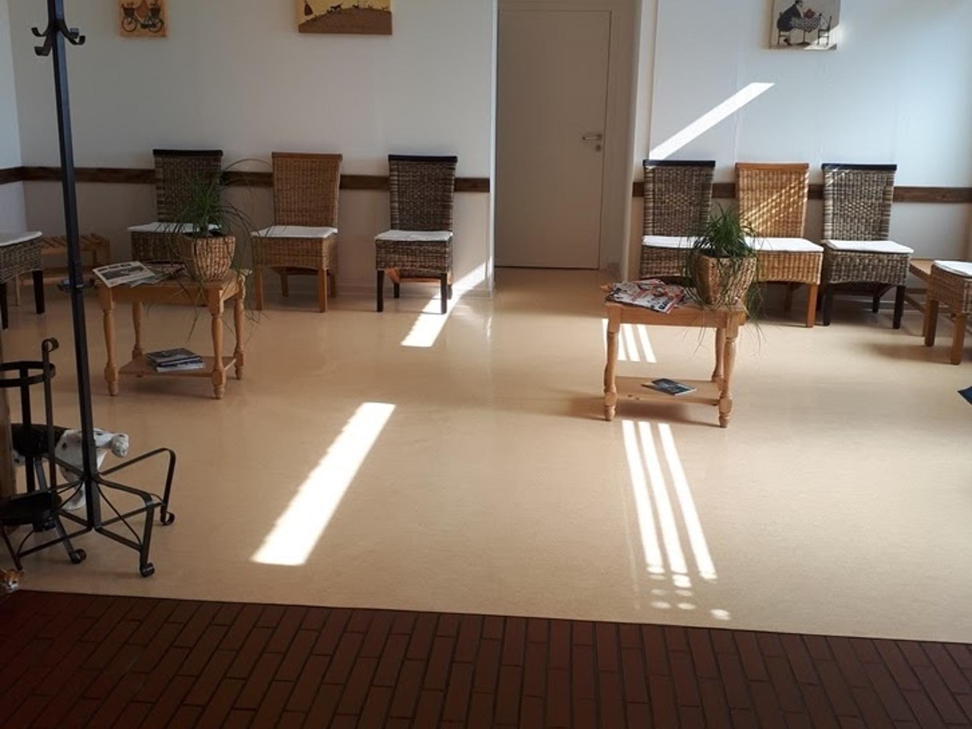 Ansicht 2 von Tierärztin Tatjana Tolkmitt