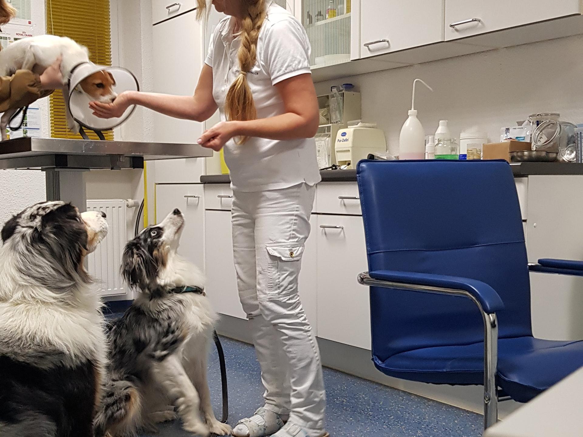 Ansicht 2 von Dr.med.vet. Bärbel Munzlinger Tierärztin