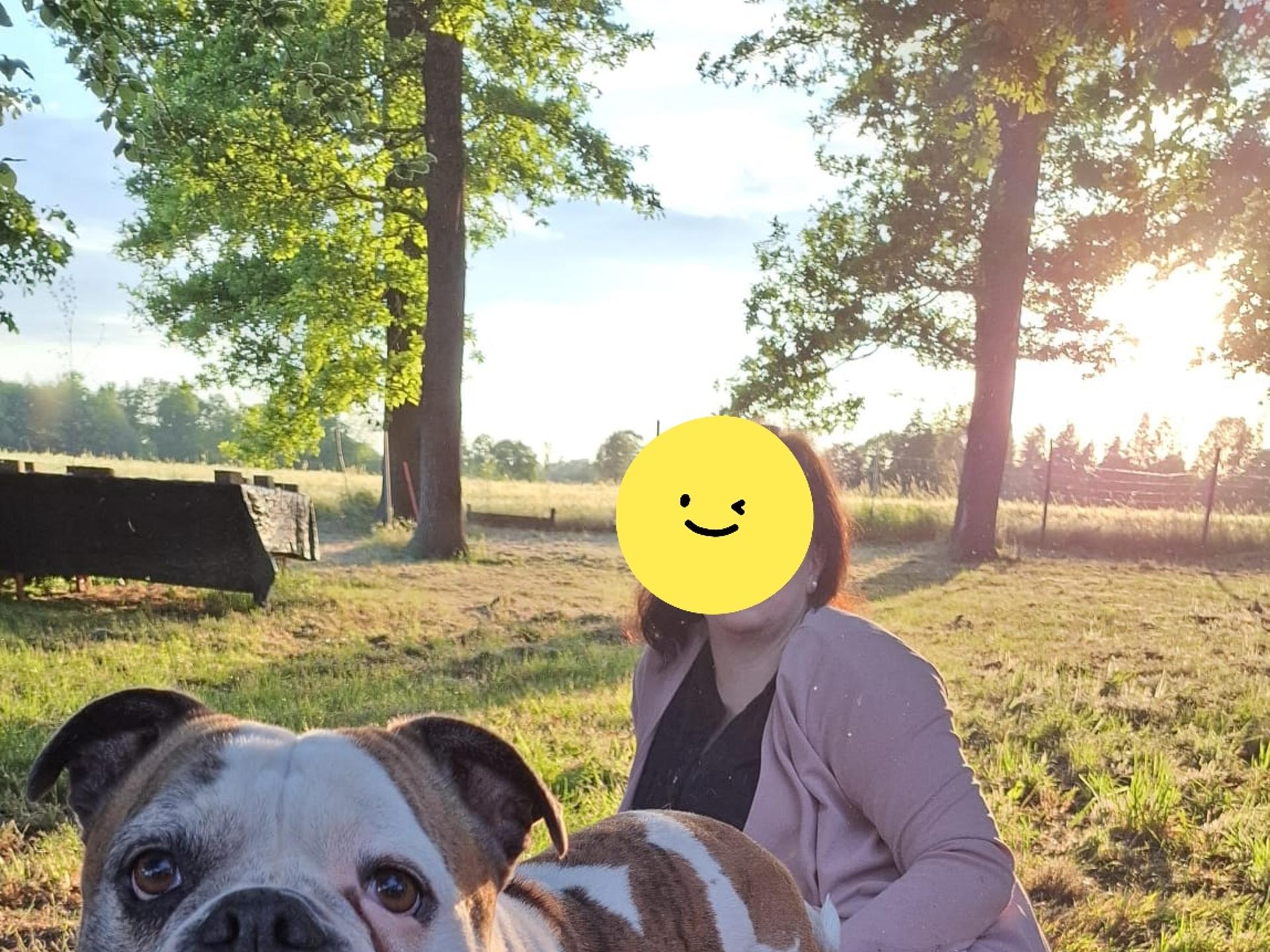 Ansicht 3 von Tierärztliche Praxis für Kleintiere Kim Übermuth