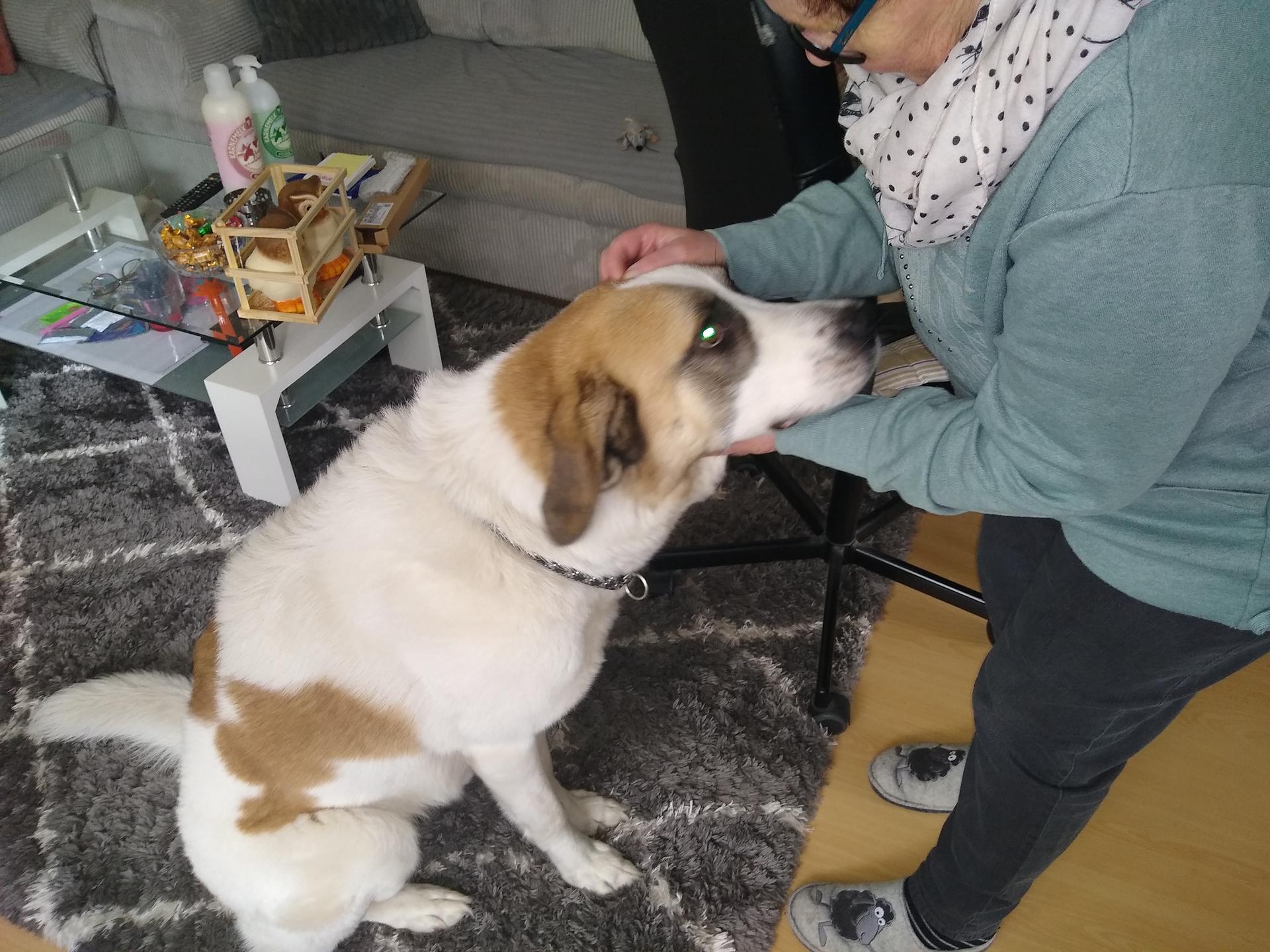 Ansicht 2 von Dr.med.vet. Andrea Herz Tierärztin