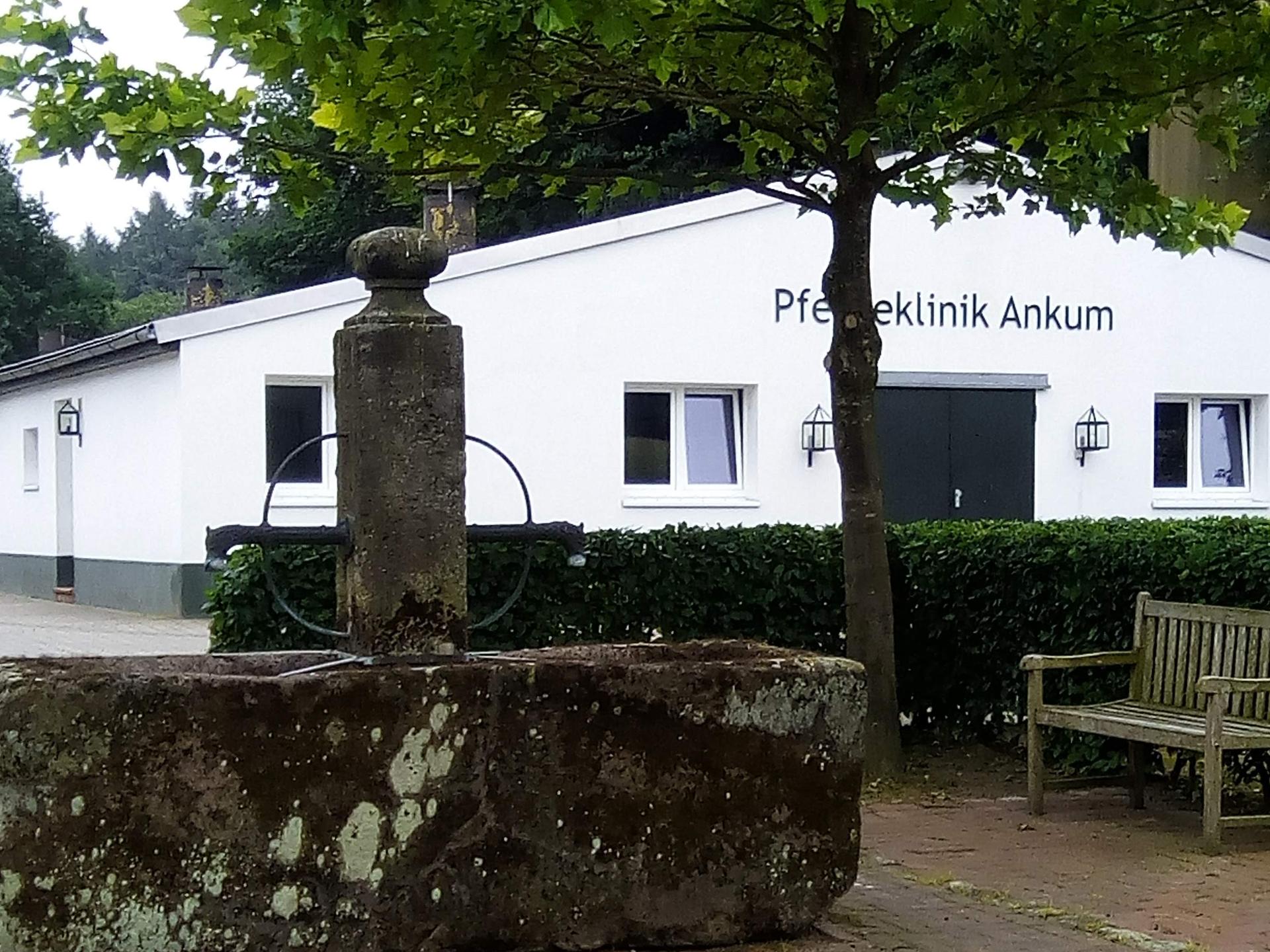 View 3 of Pferdeklinik Ankum GmbH
