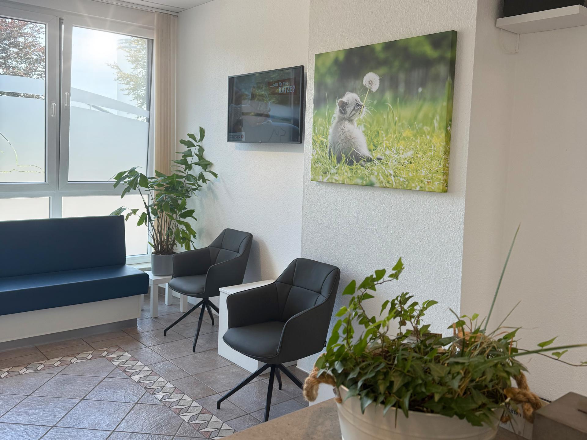 Ansicht 1 von Kleintierpraxis Zur alten Ems ⎮ Tiermedizin in der Region Rhede (Ems)