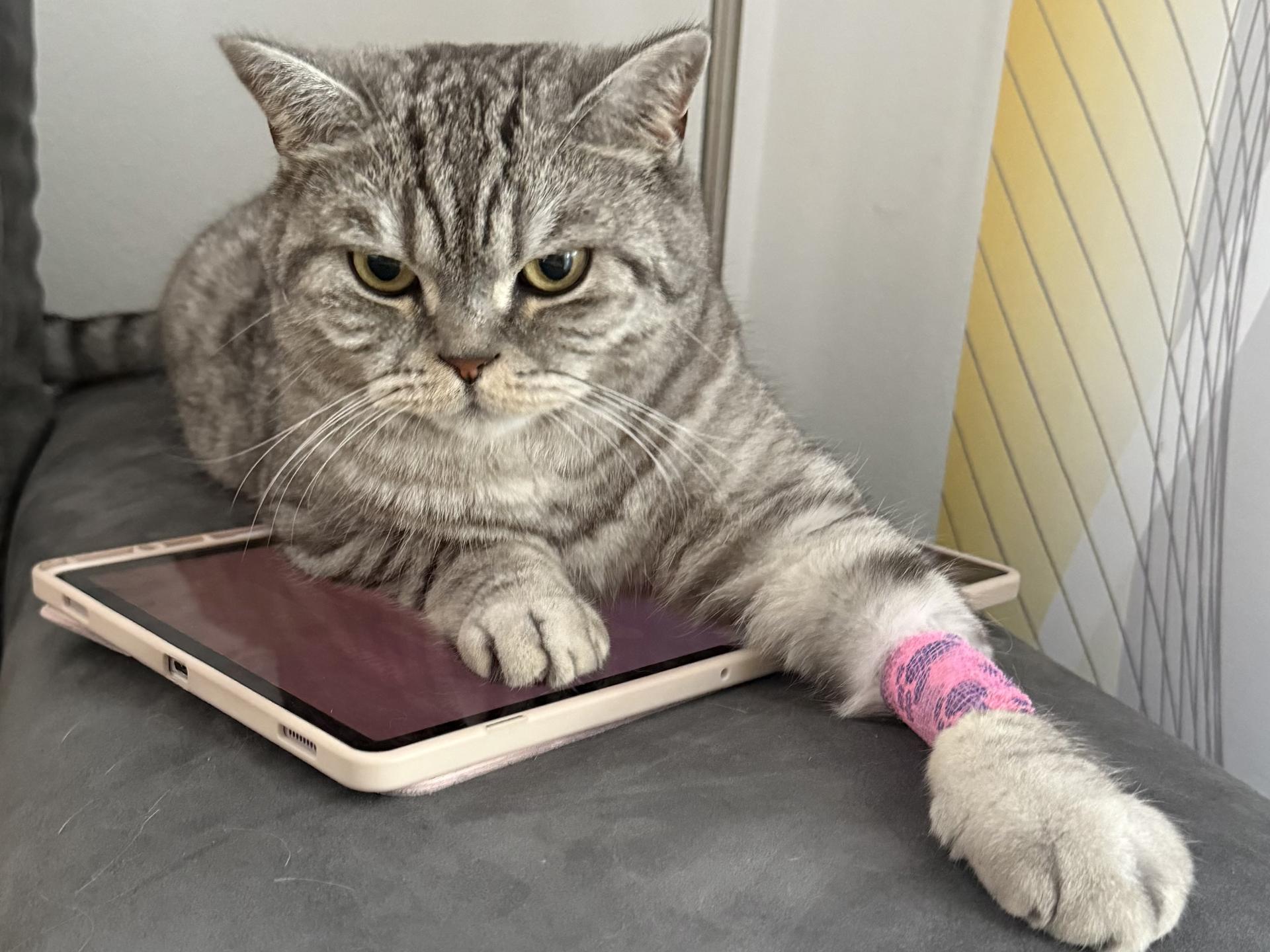 Ansicht 3 von Praxis für Tiere – Dr. Zölch & Dr. Biebel