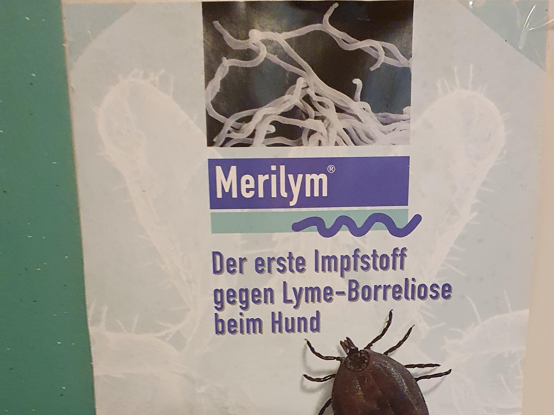 Ansicht 1 von Dr. med. vet. Hanna Jakob Tierärztin